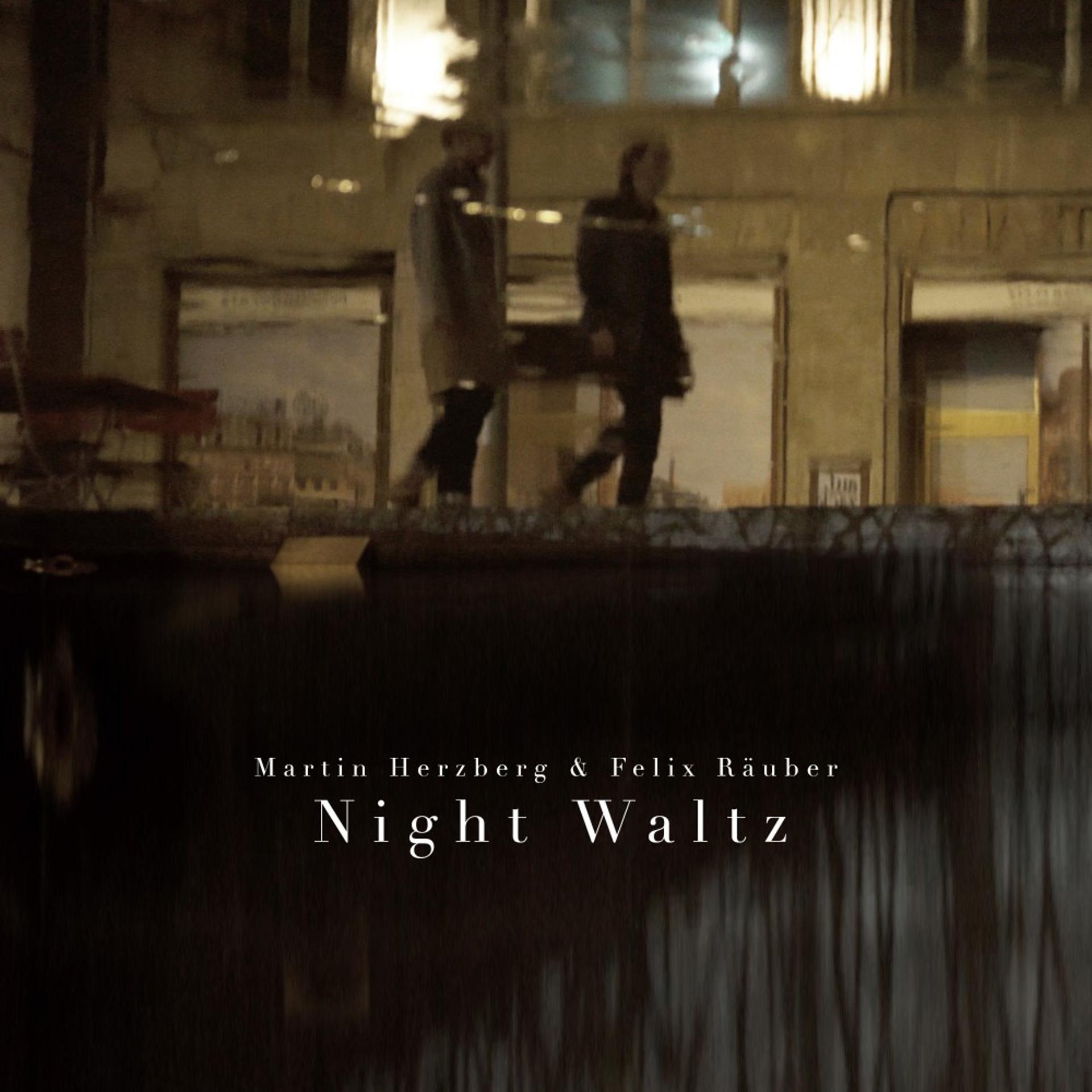 Постер альбома Night Waltz