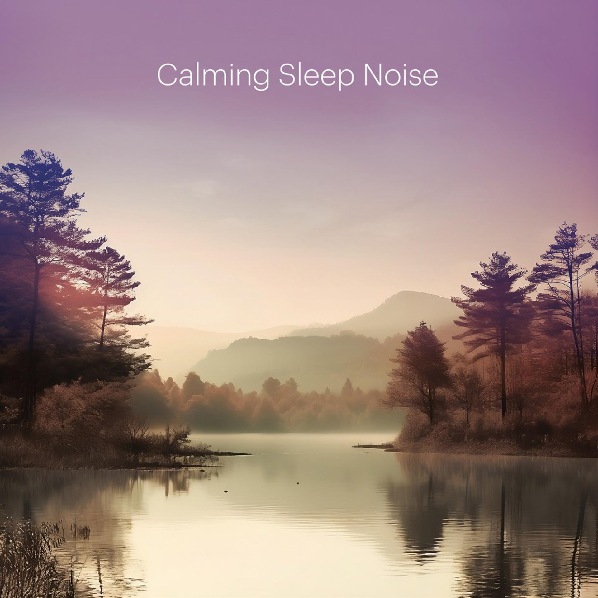 Постер альбома Calming Sleep Noise