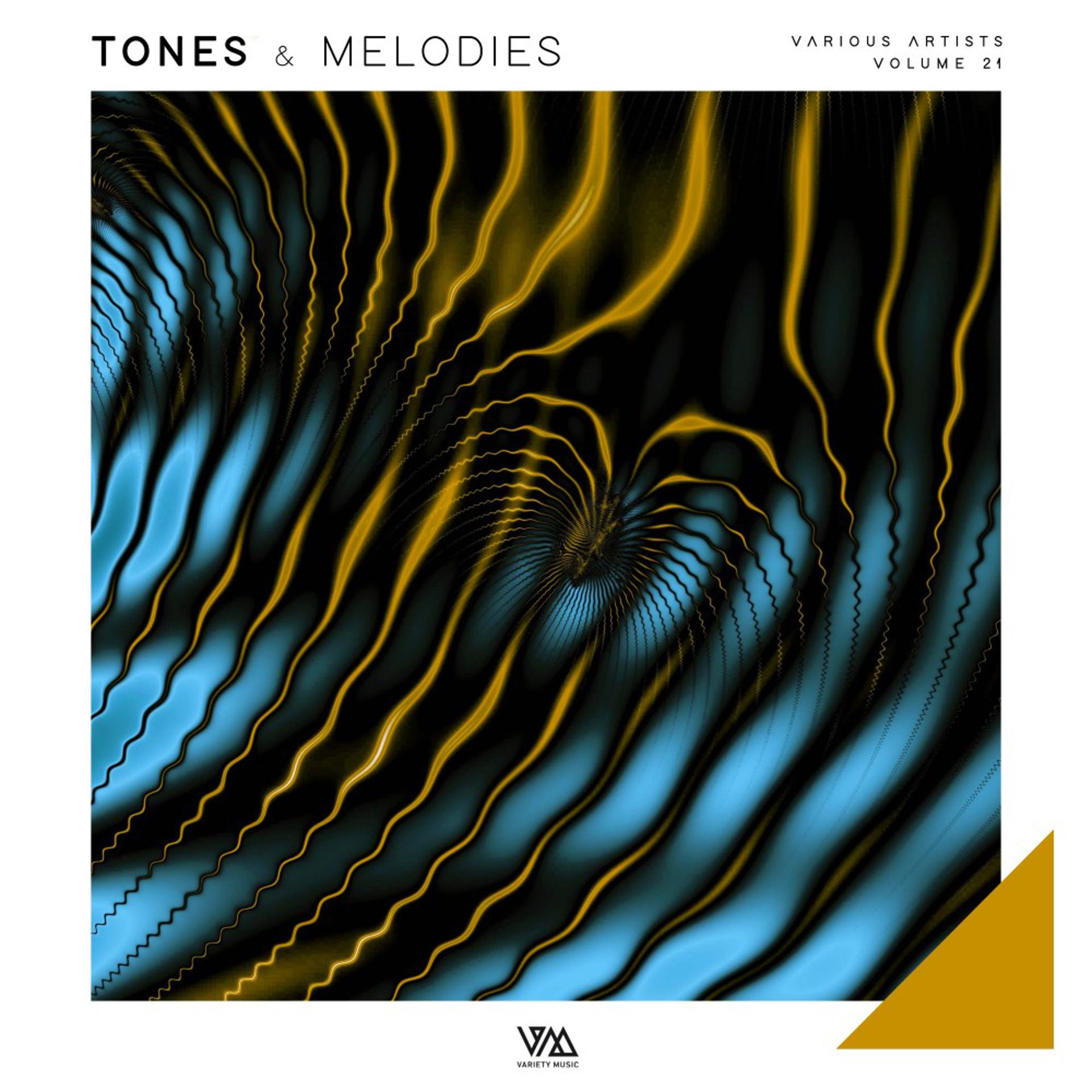 Постер альбома Tones & Melodies, Vol. 21