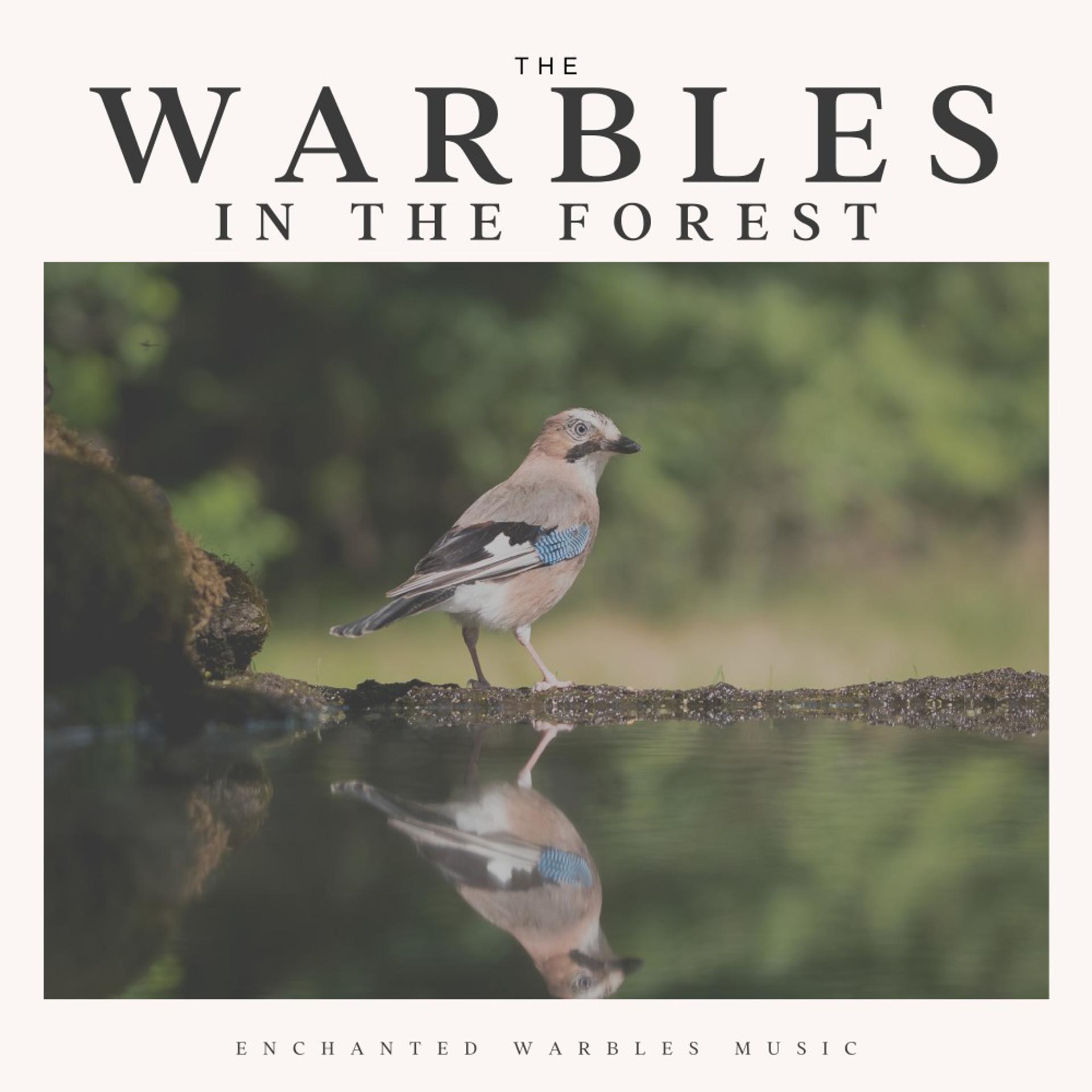 Постер альбома The Warbles in the Forest