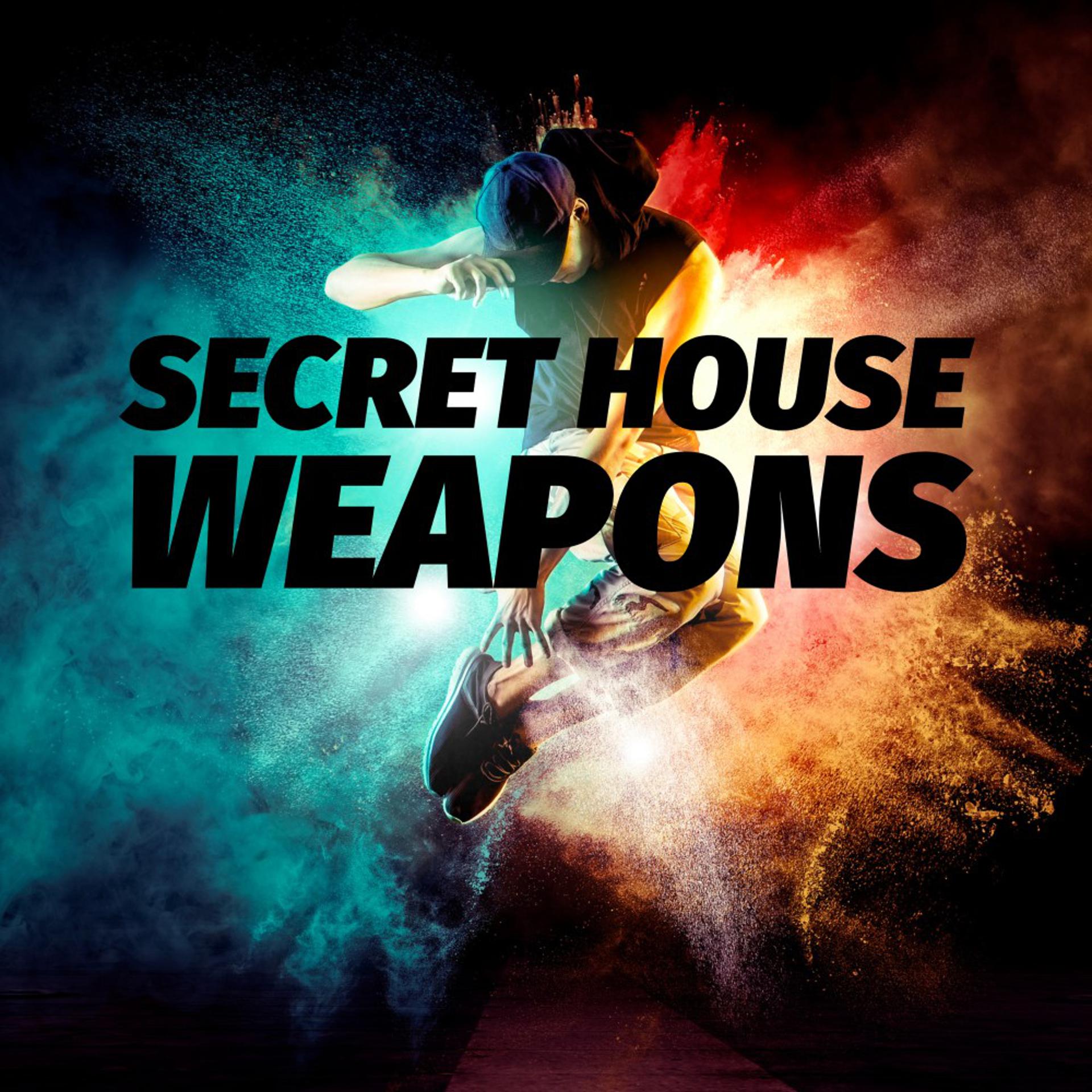 Постер альбома Secret House Weapons