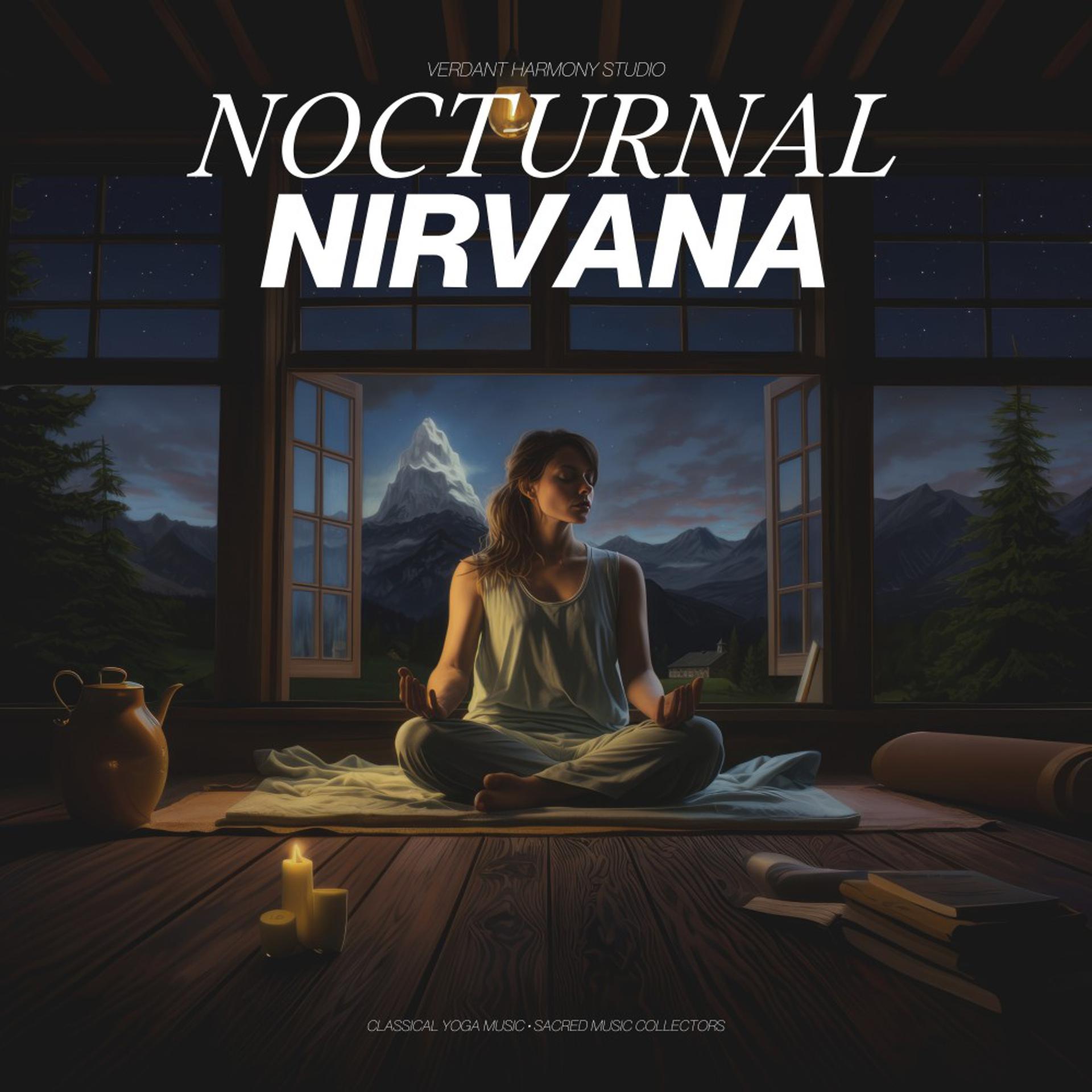 Постер альбома Nocturnal Nirvana