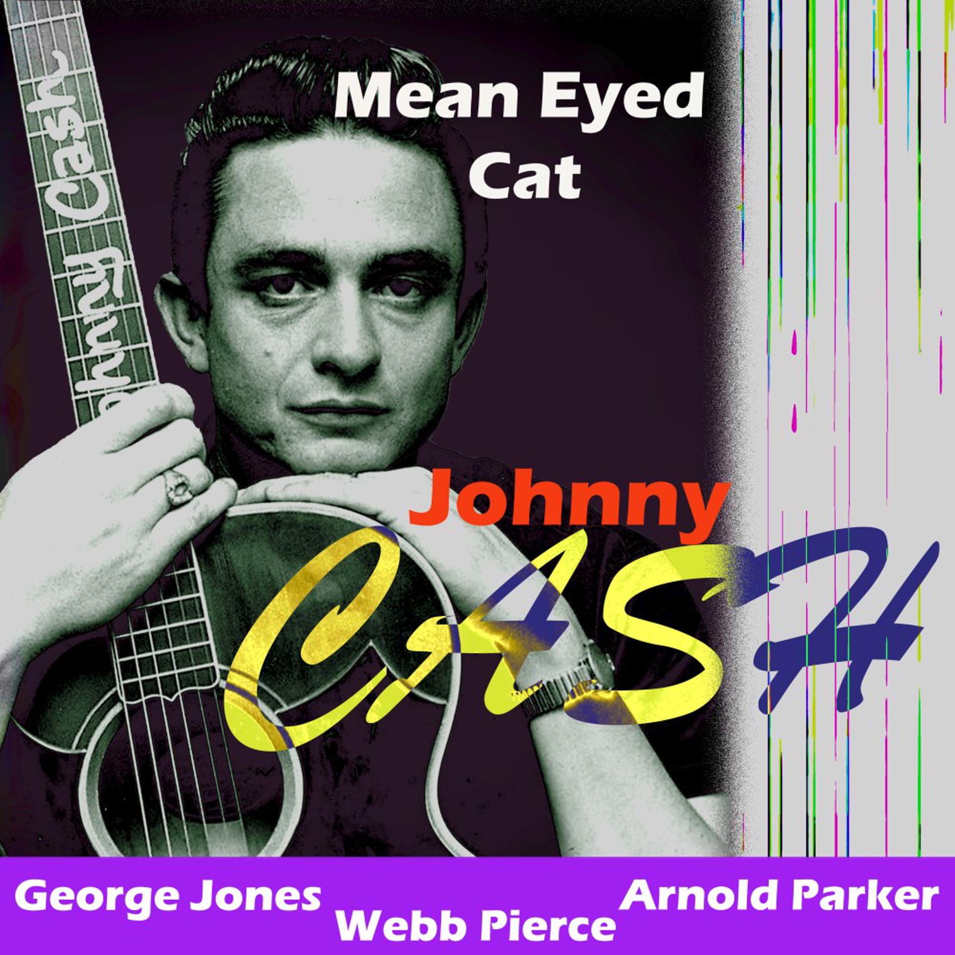 Постер альбома Mean Eyed Cat