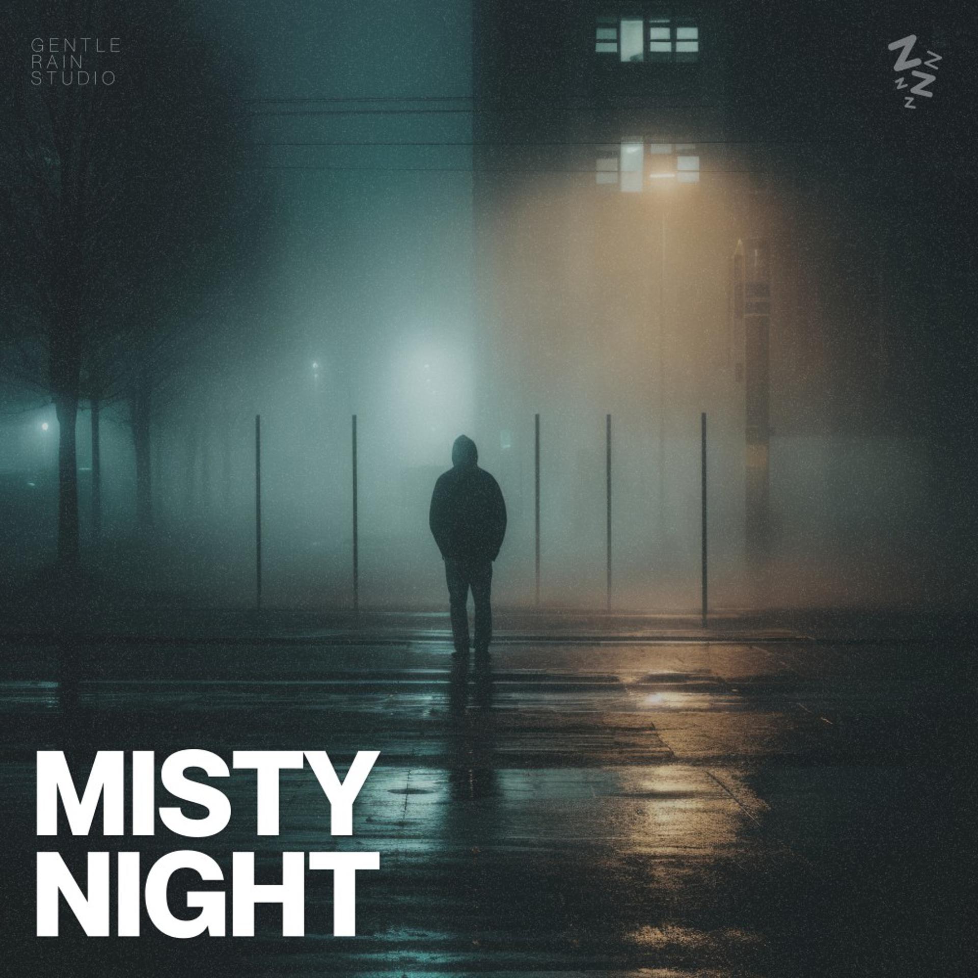 Постер альбома Misty Night