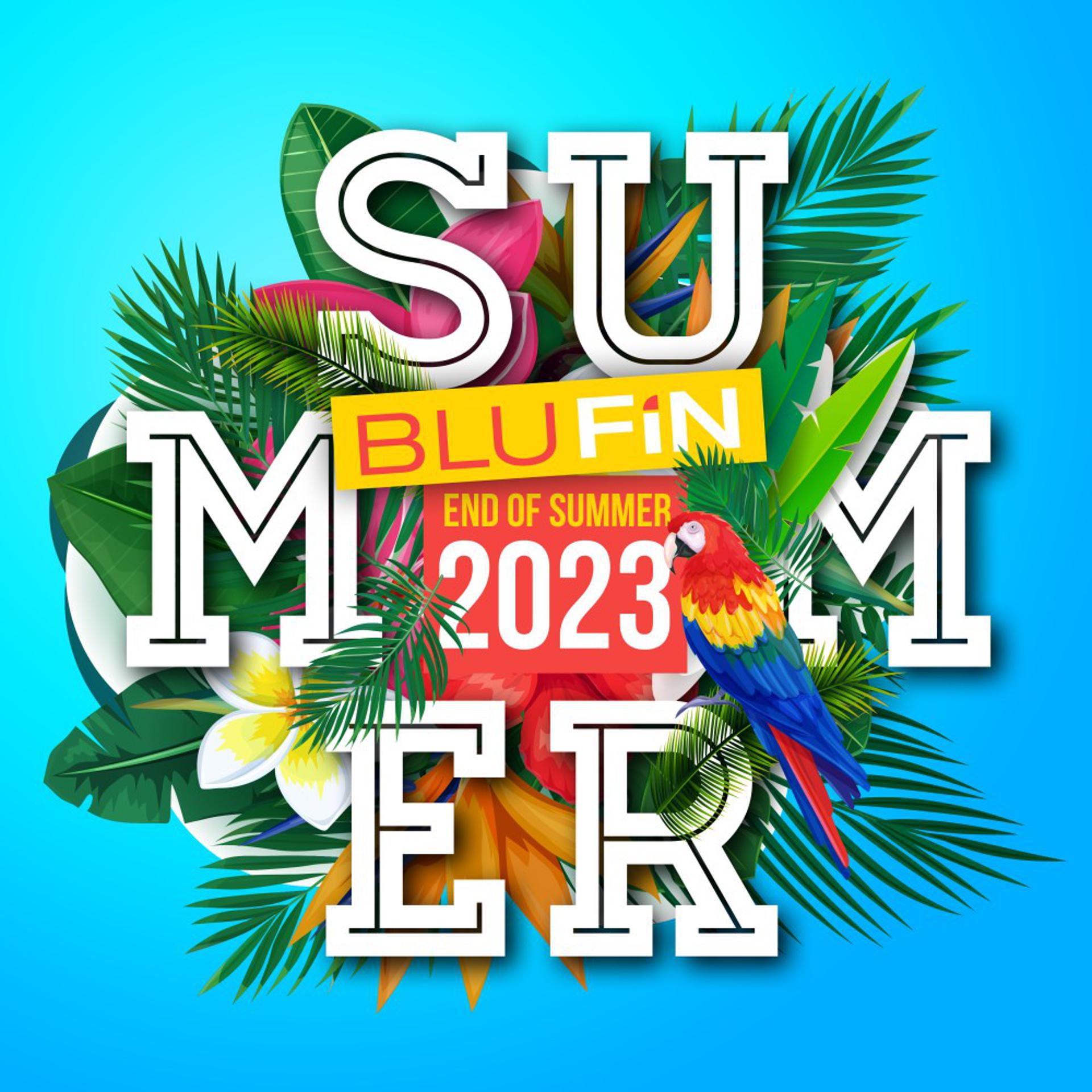 Постер альбома End of Summer 2023