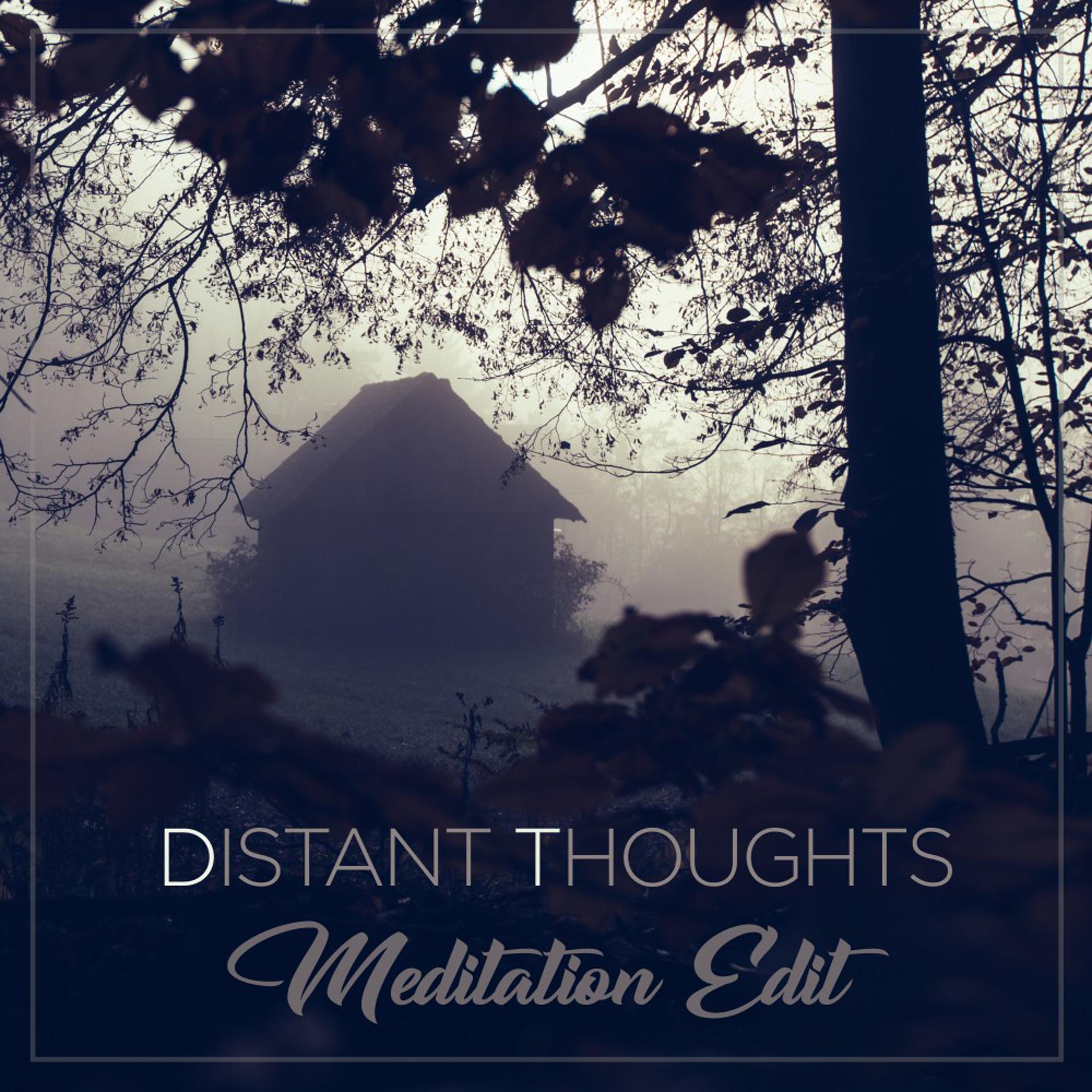 Постер альбома Distant Thoughts (Meditation Edit)