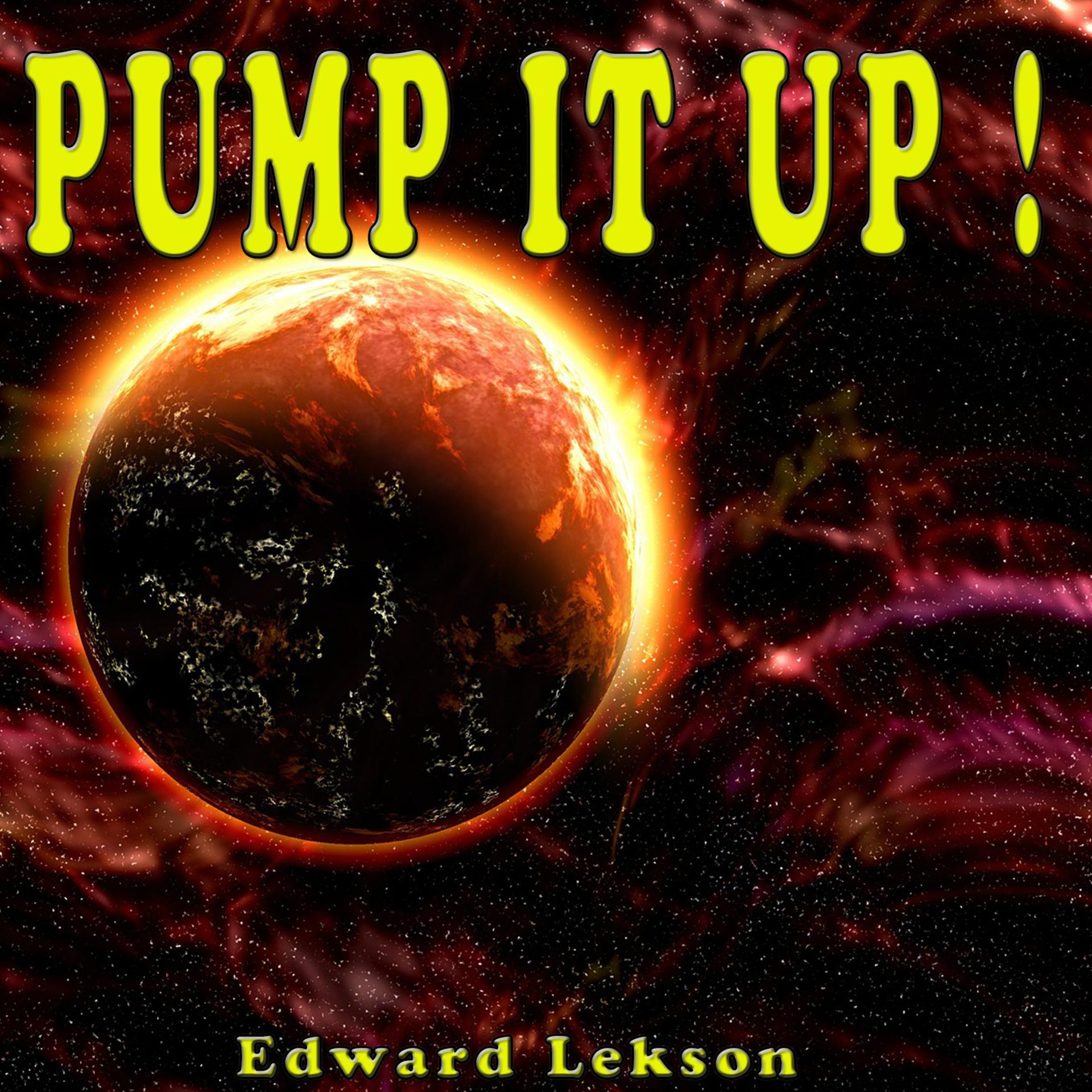 Постер альбома Pump It up!