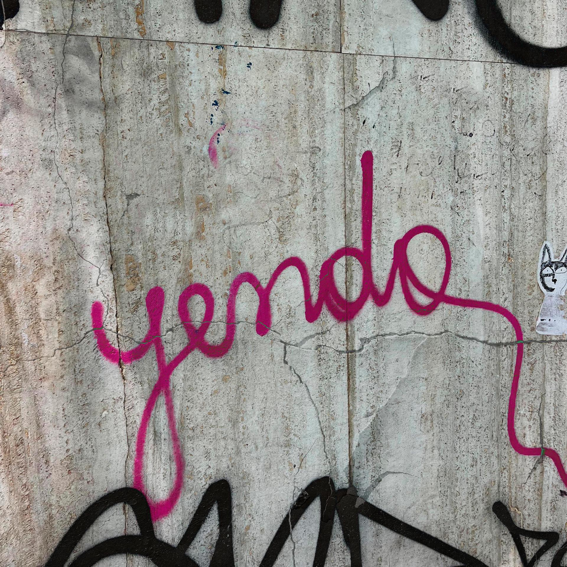 Постер альбома Yendo