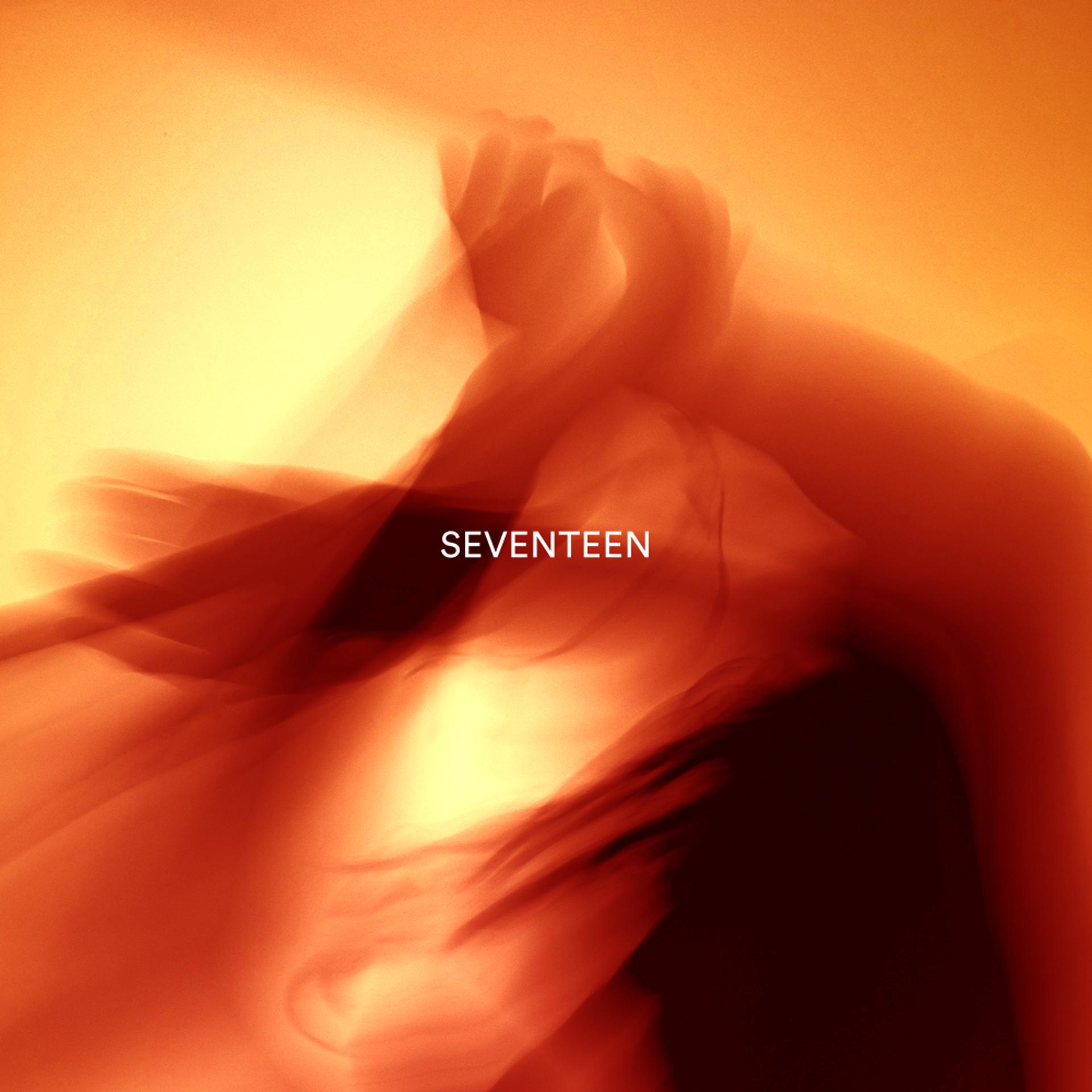 Постер альбома Seventeen