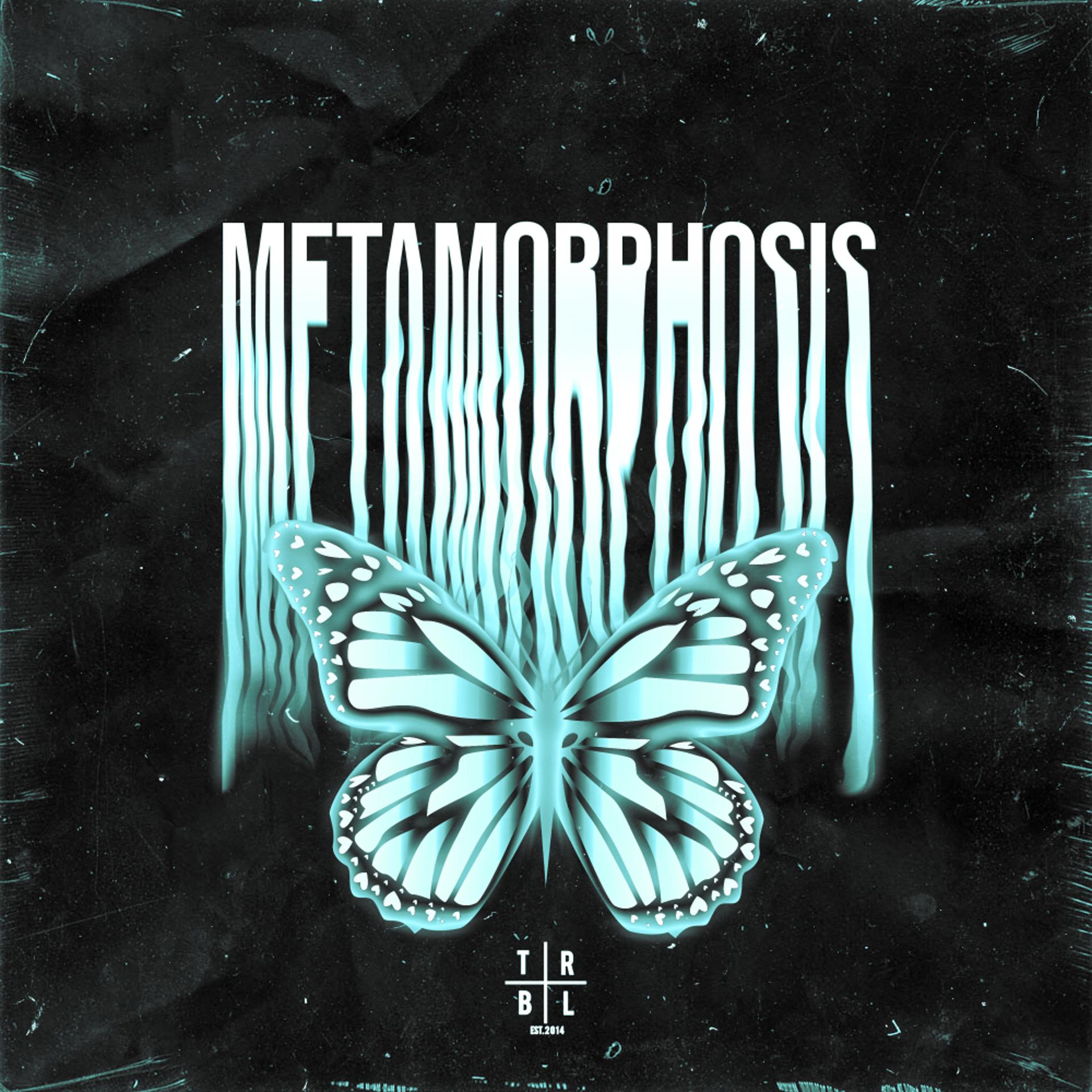 Постер альбома METAMORPHOSIS (Slowed + Reverb)
