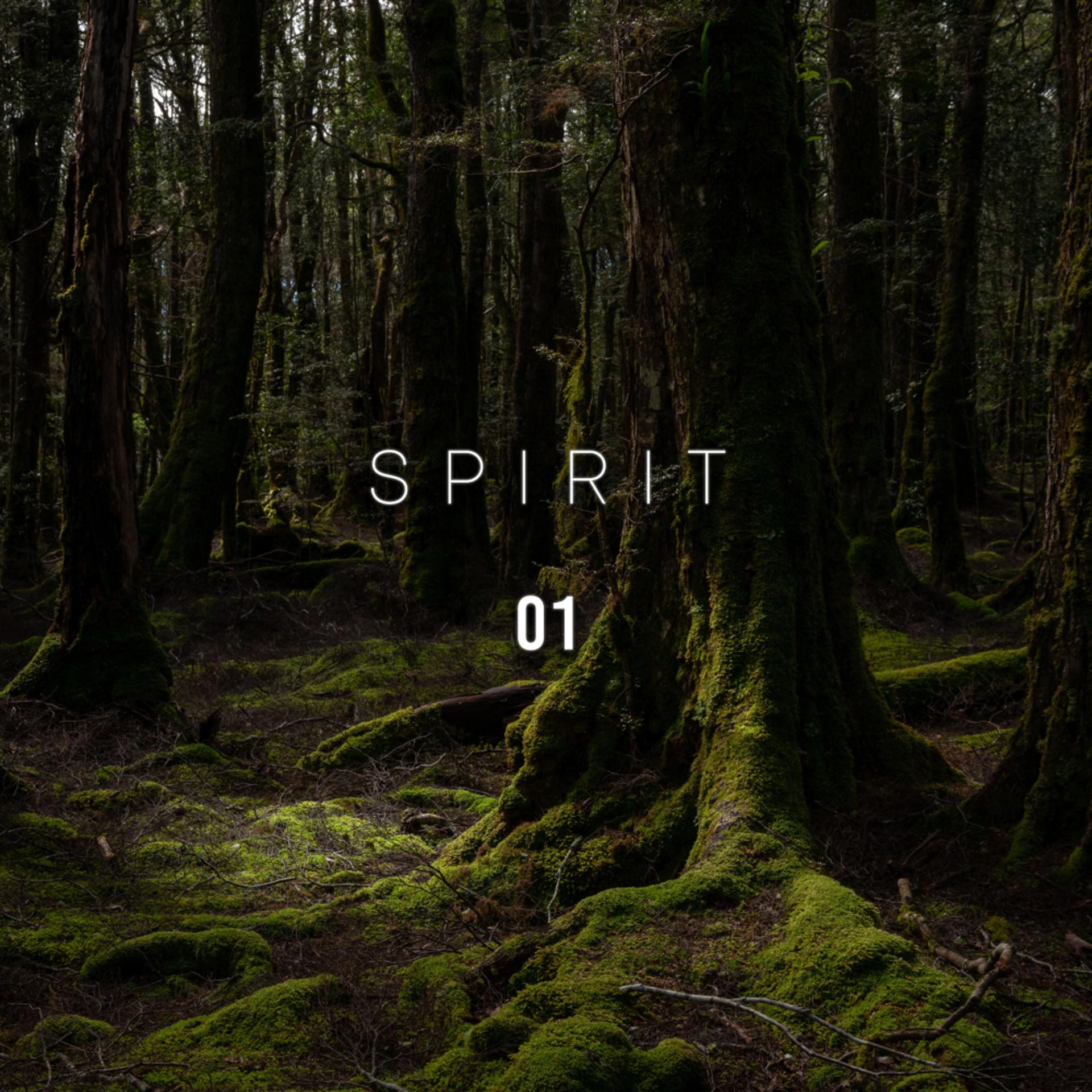 Постер альбома Spirit 01