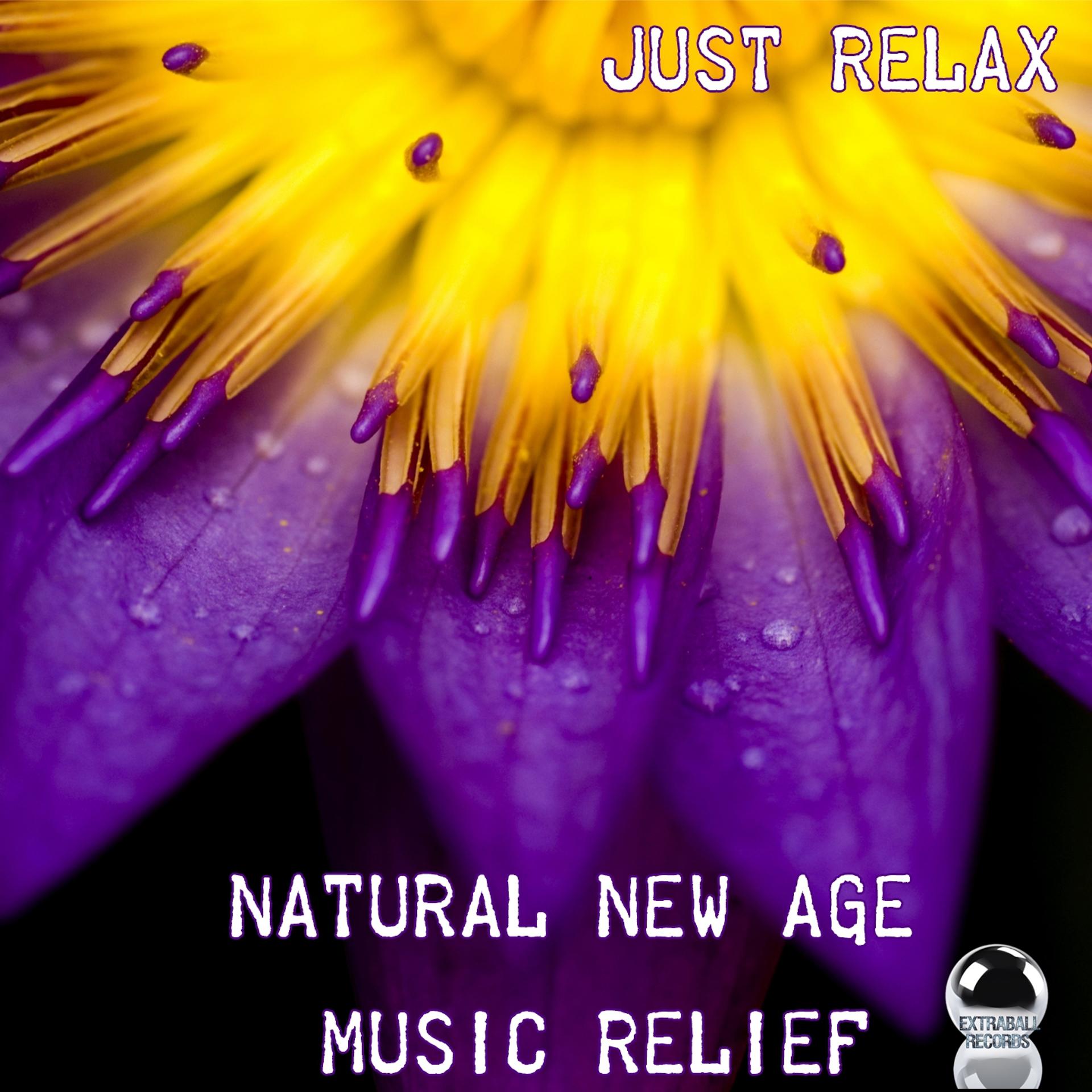 Постер альбома Just Relax (Natural New Age Music Relief)