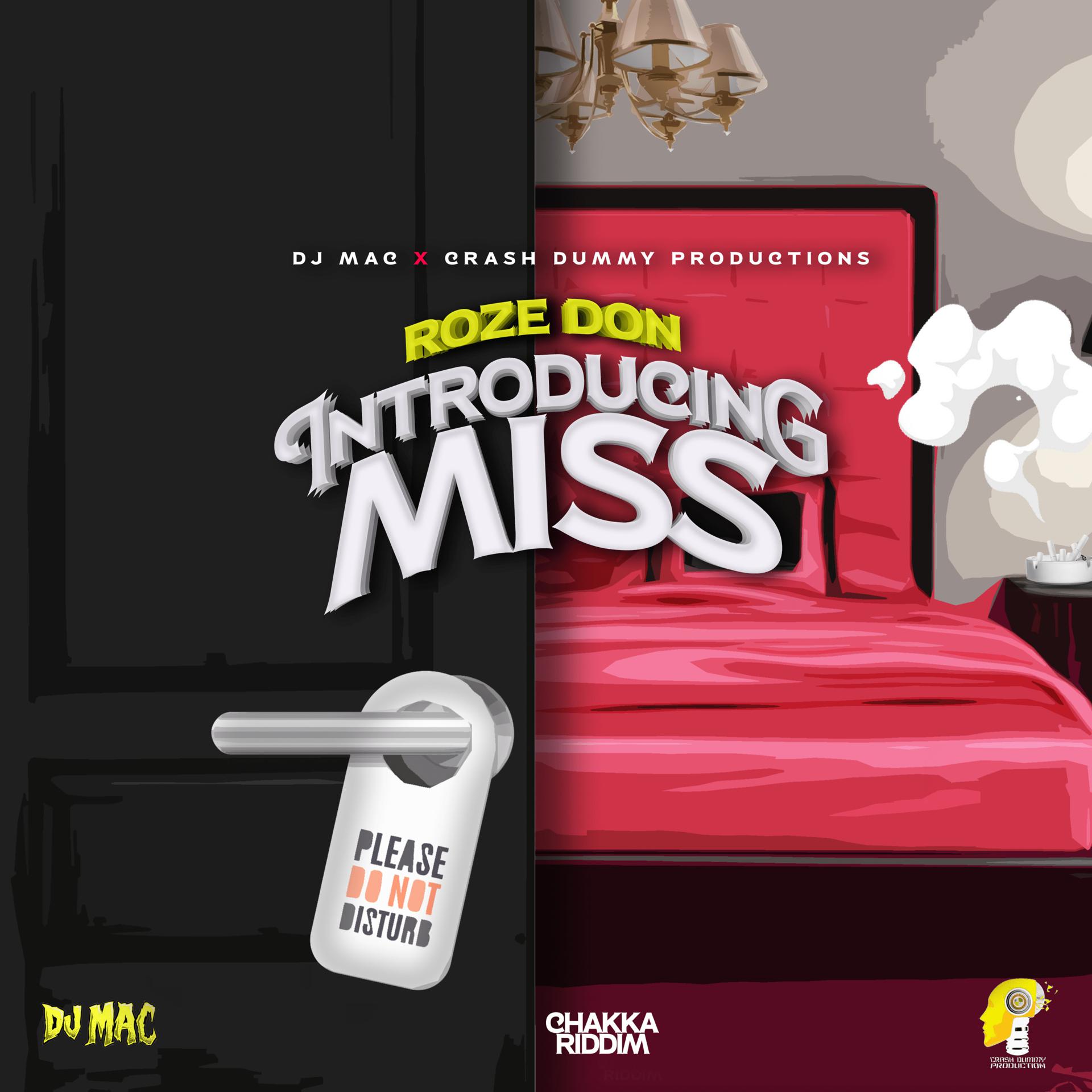 Постер альбома Introducing Miss
