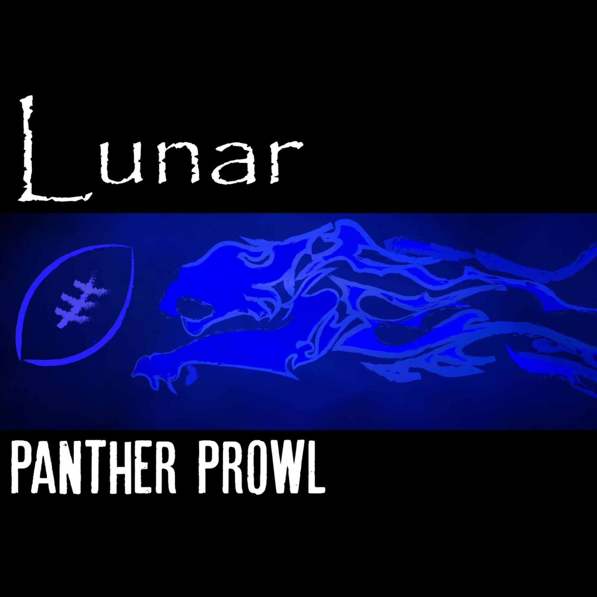 Постер альбома Panther Prowl