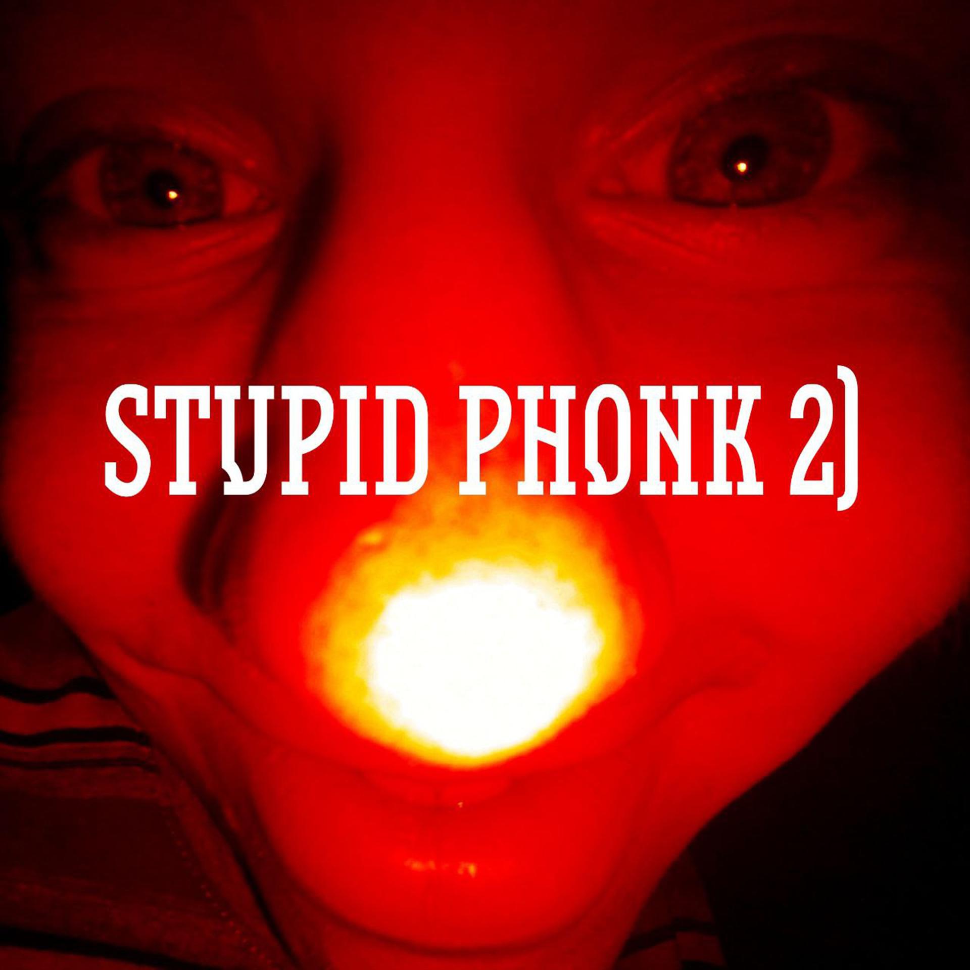 Постер альбома STUPID PHONK 2)