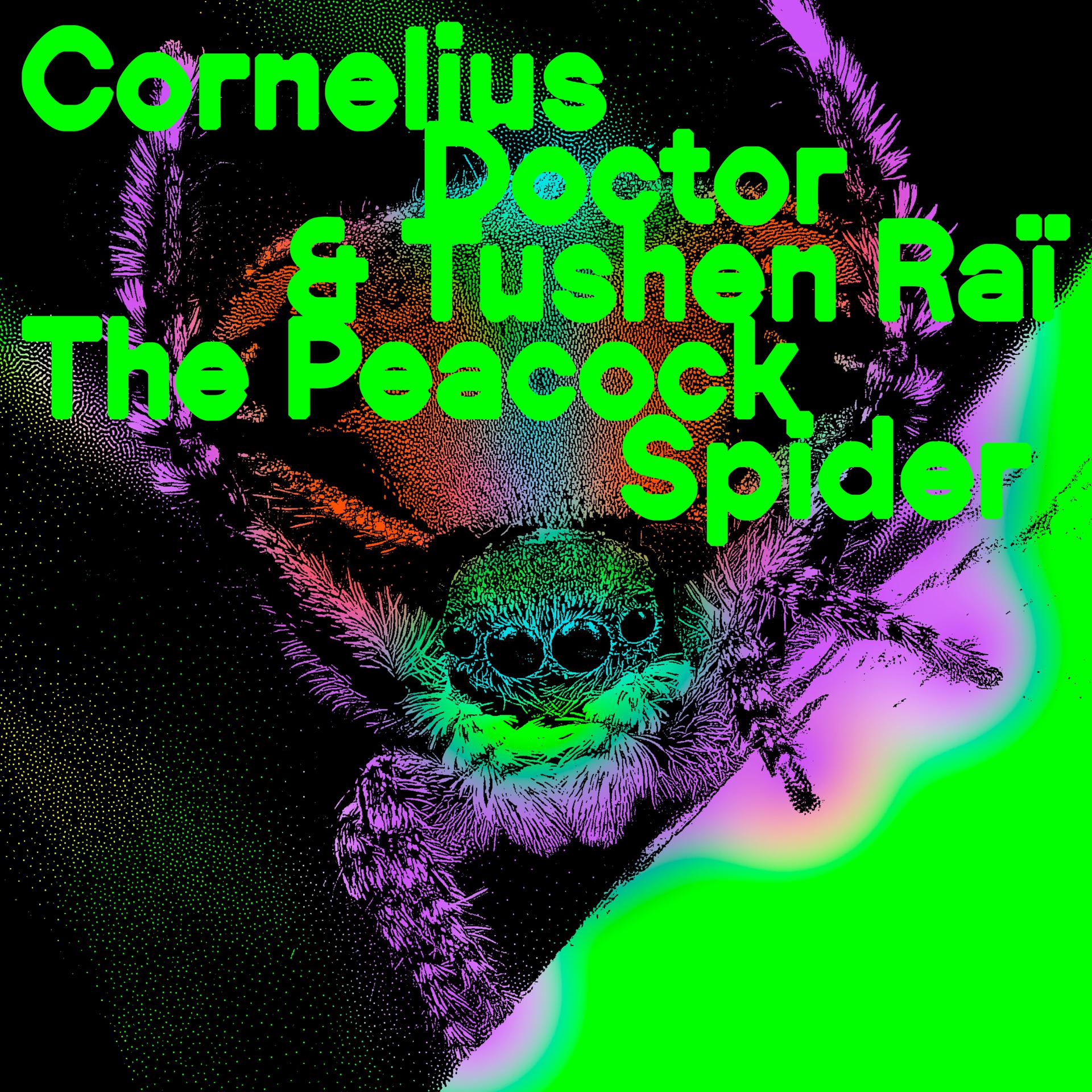 Постер альбома The Peacock Spider