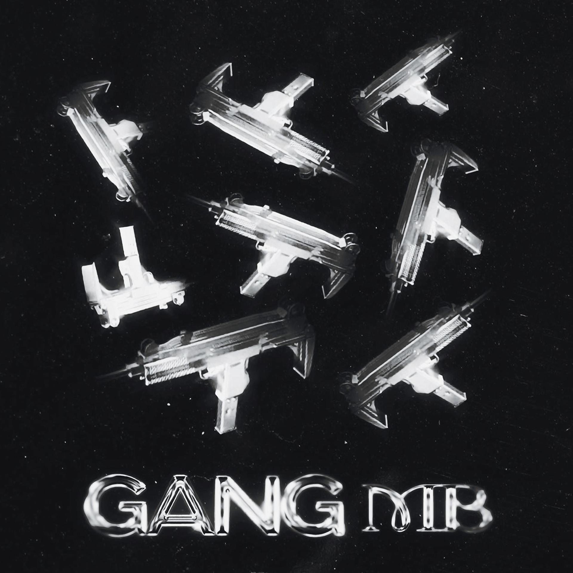 Постер альбома Gang MB
