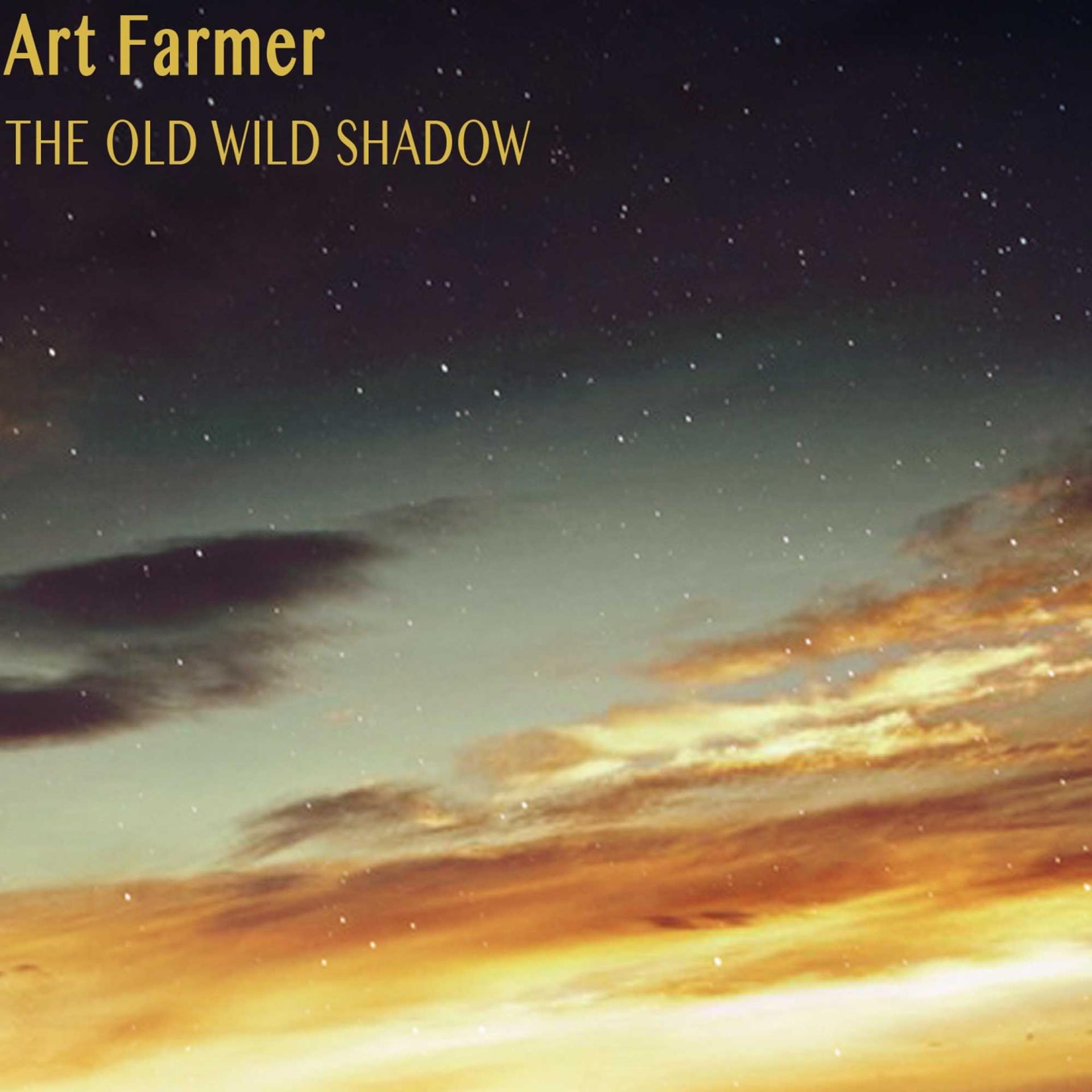 Постер альбома The Old Wild Shadow