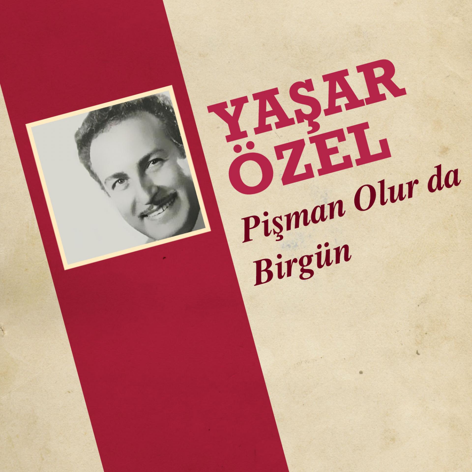 Постер альбома Pişman Olur da Birgün