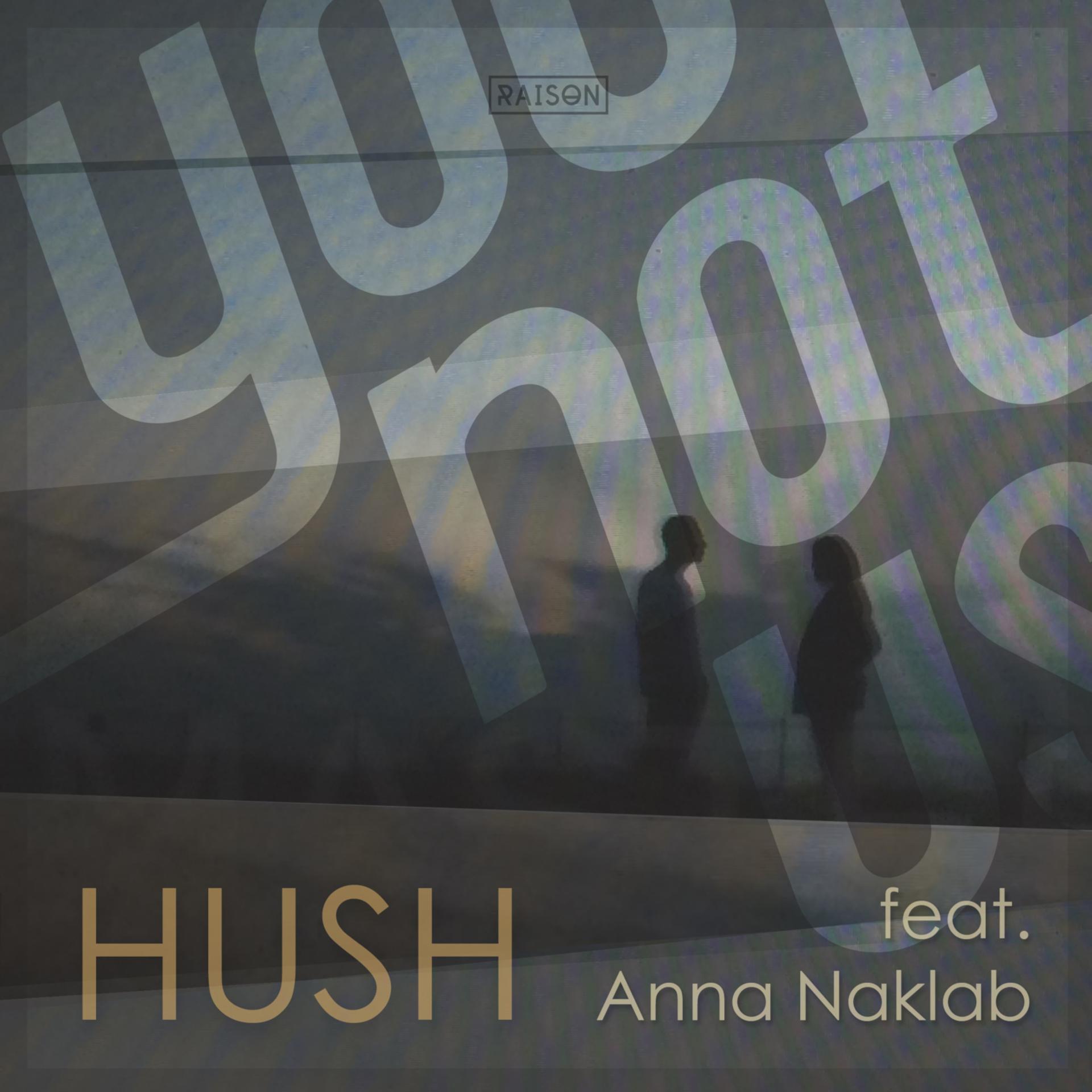 Постер альбома Hush (feat. Anna Naklab)