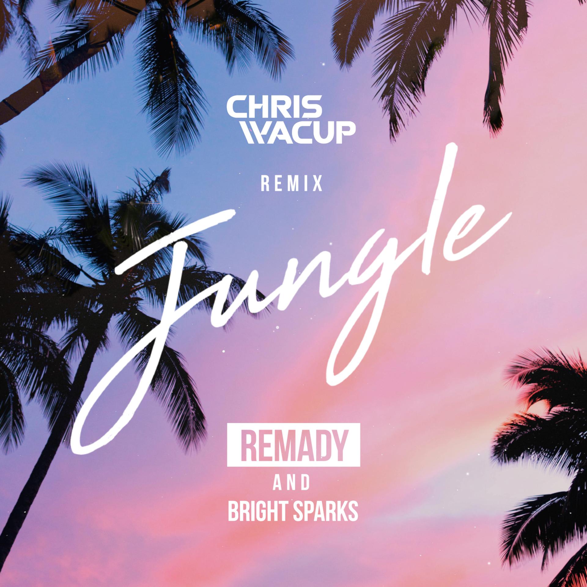 Постер альбома Jungle (CHRIS WACUP Remix)