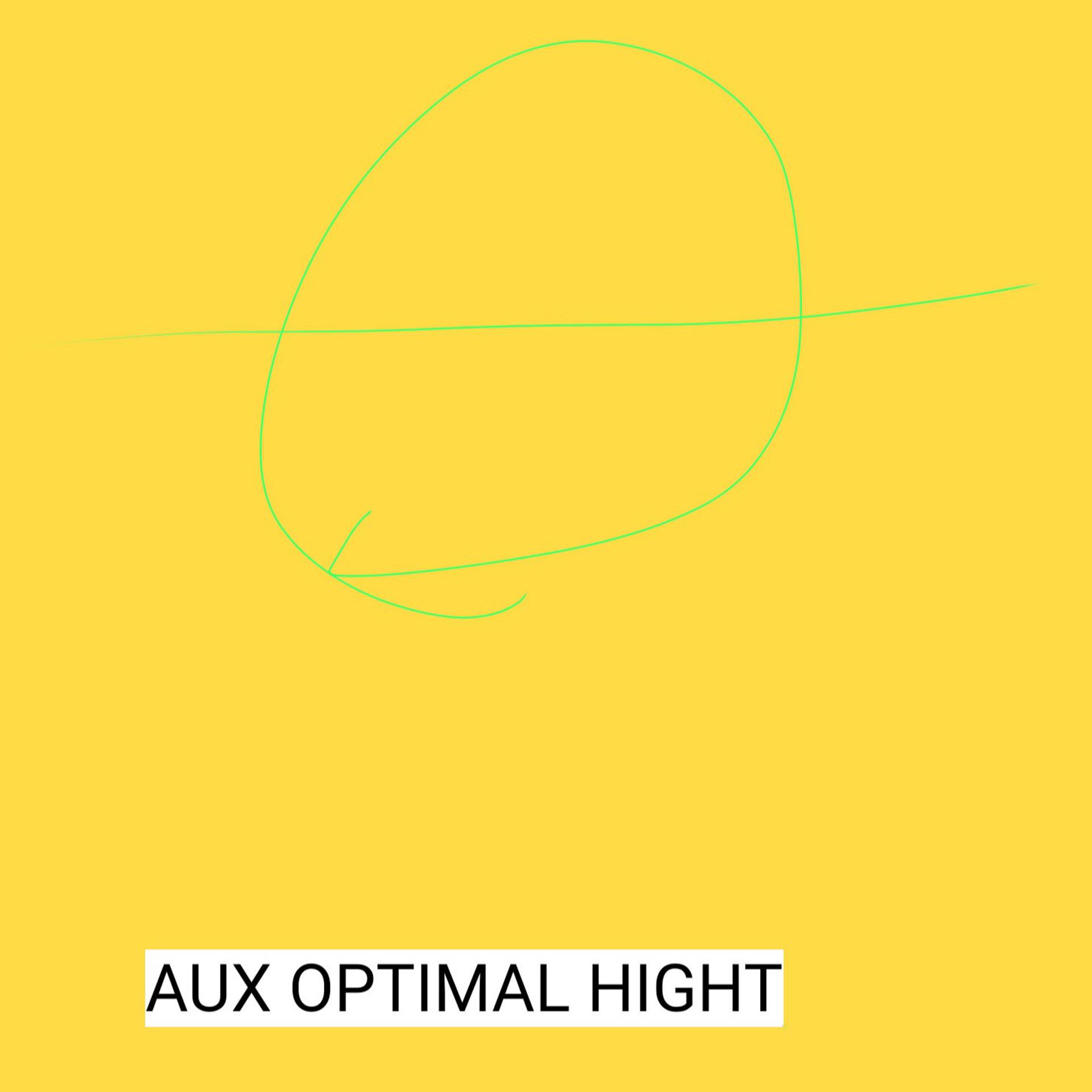 Постер альбома OPTIMAL HIGHT