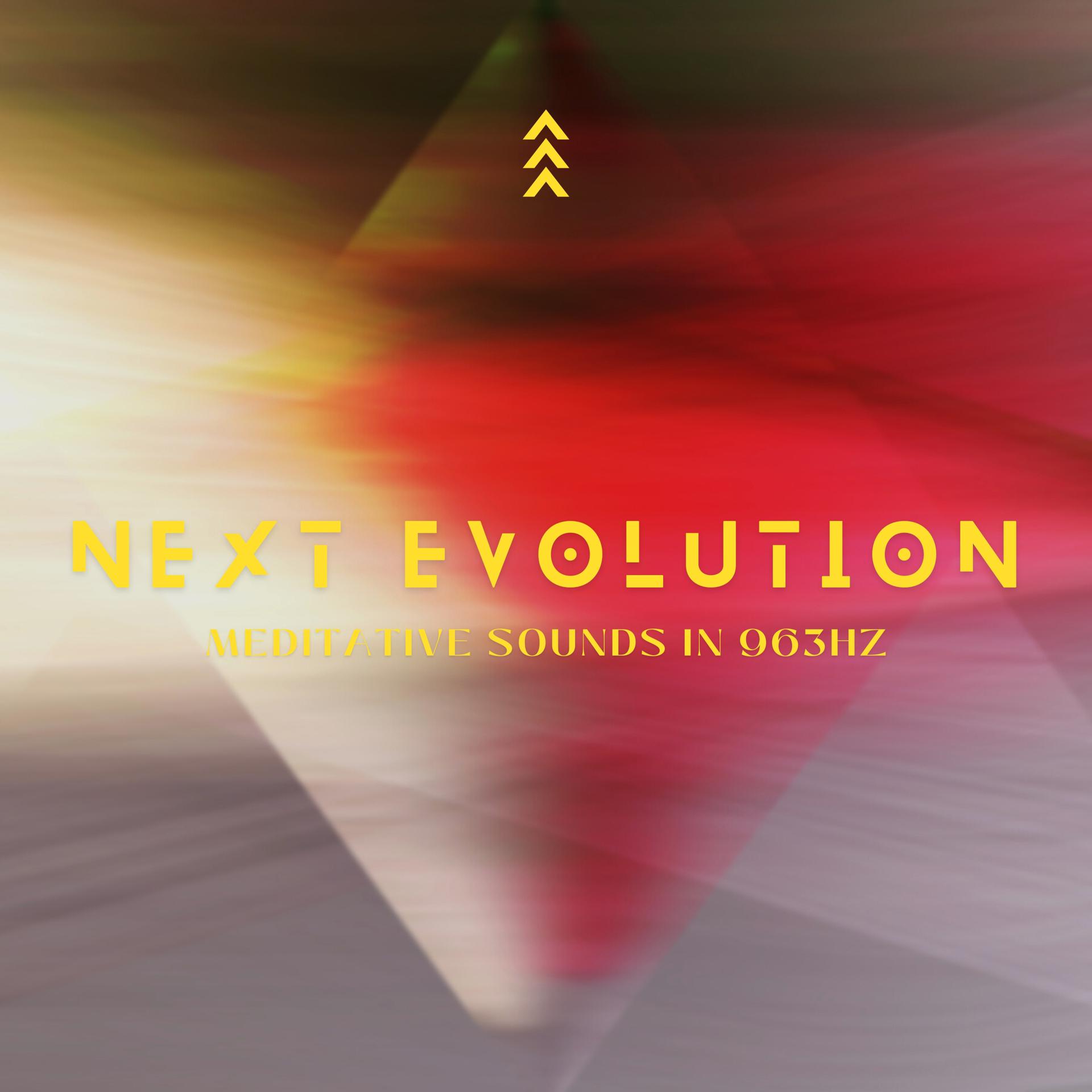 Постер альбома Next Evolution (Meditative Sounds in 963Hz)