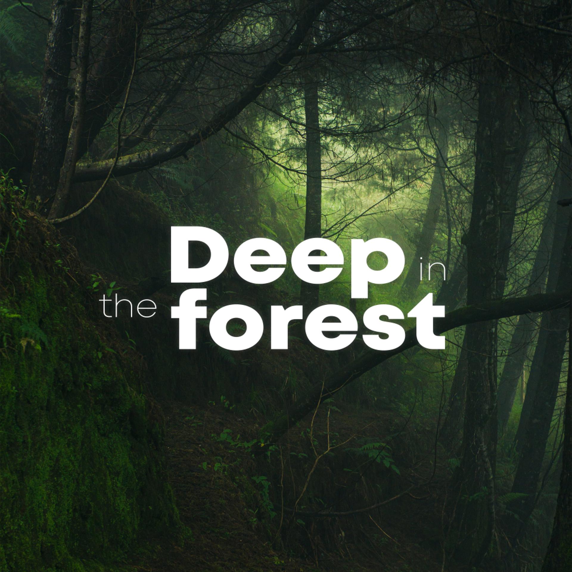 Постер альбома Deep In The Forest