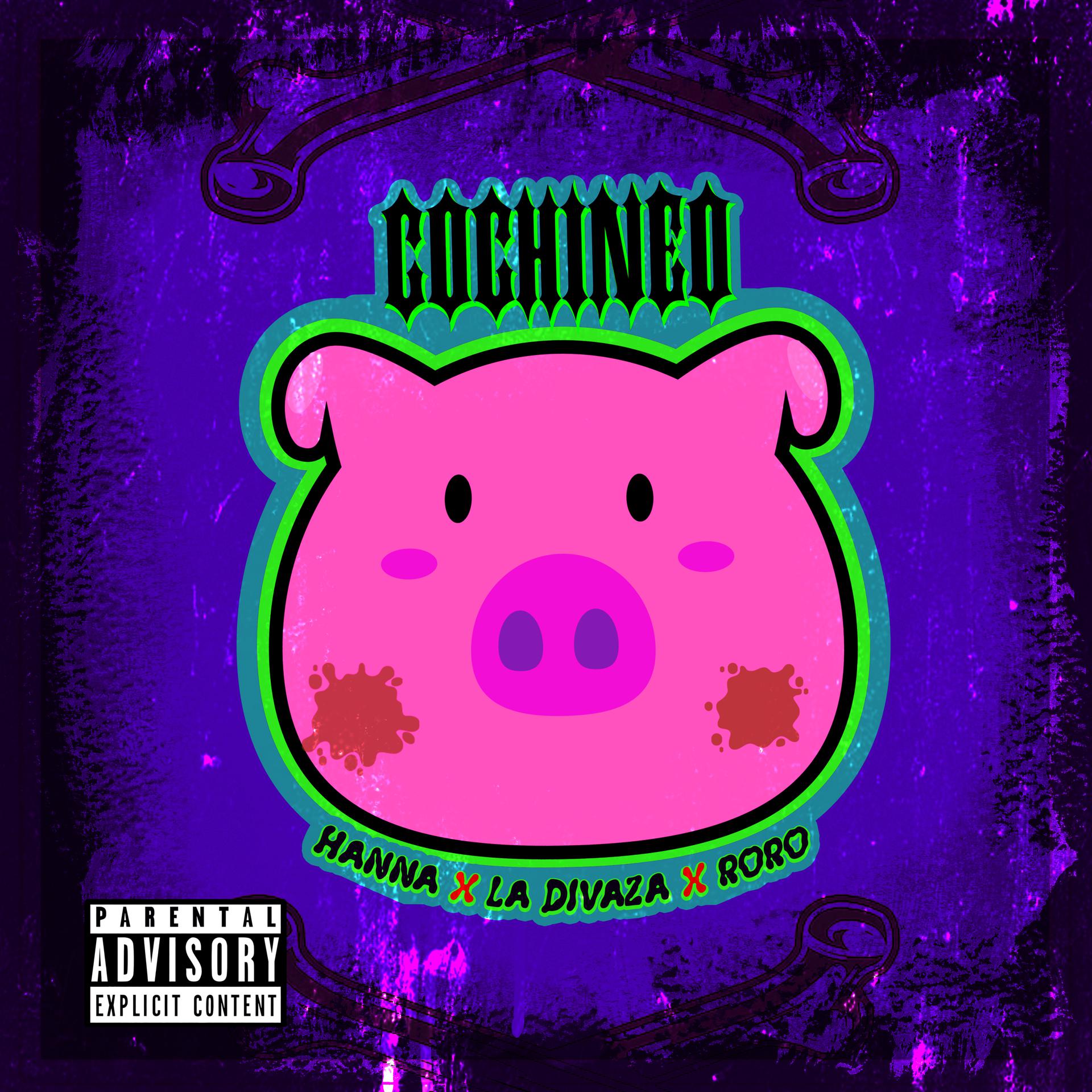 Постер альбома Cochineo