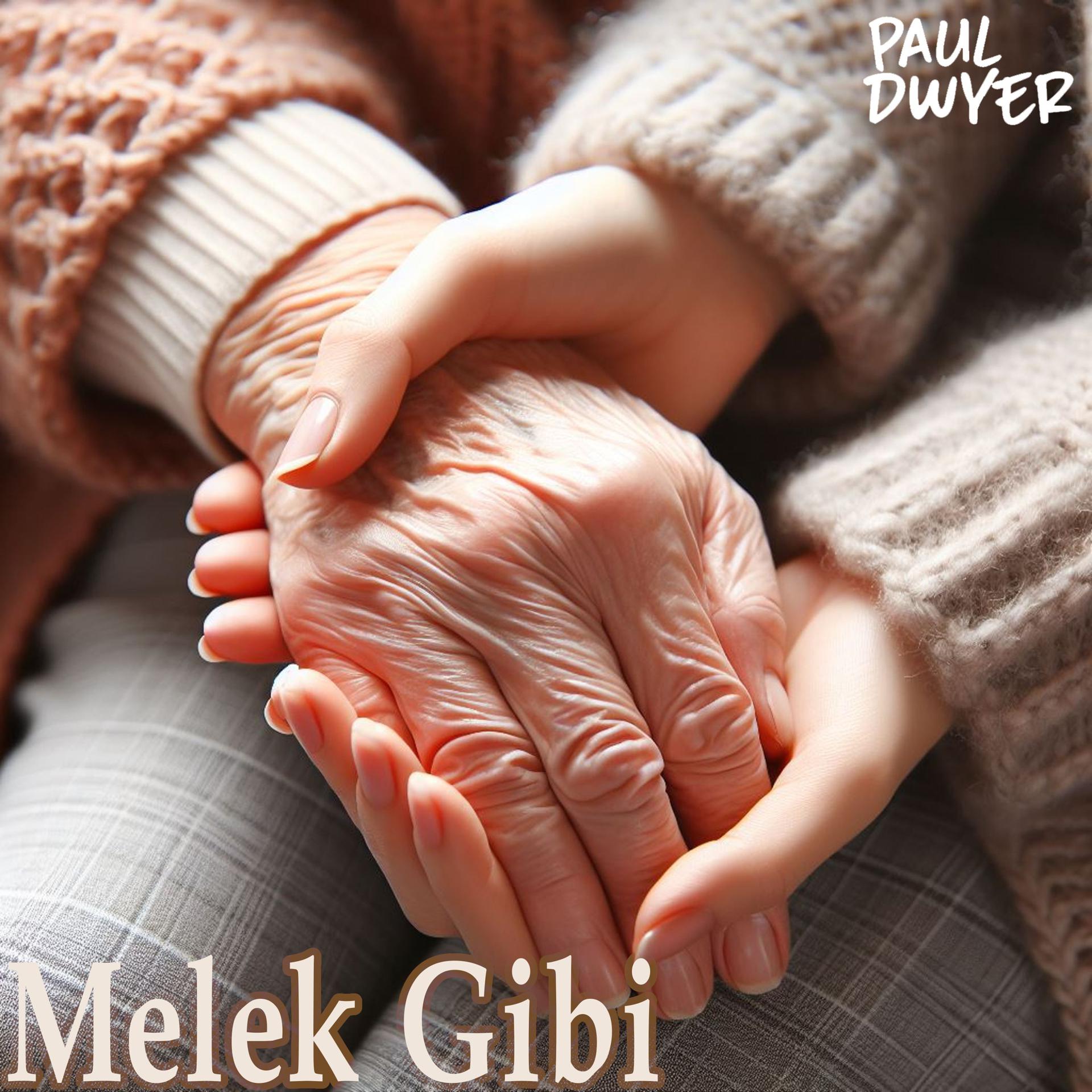 Постер альбома Melek Gibi