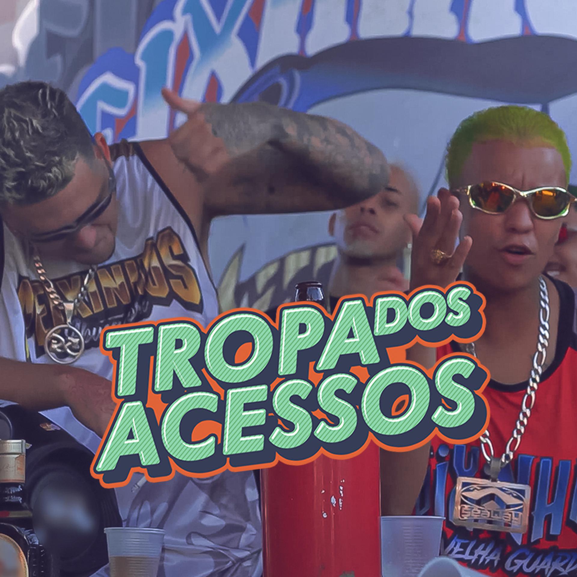 Постер альбома Tropa dos Acessos