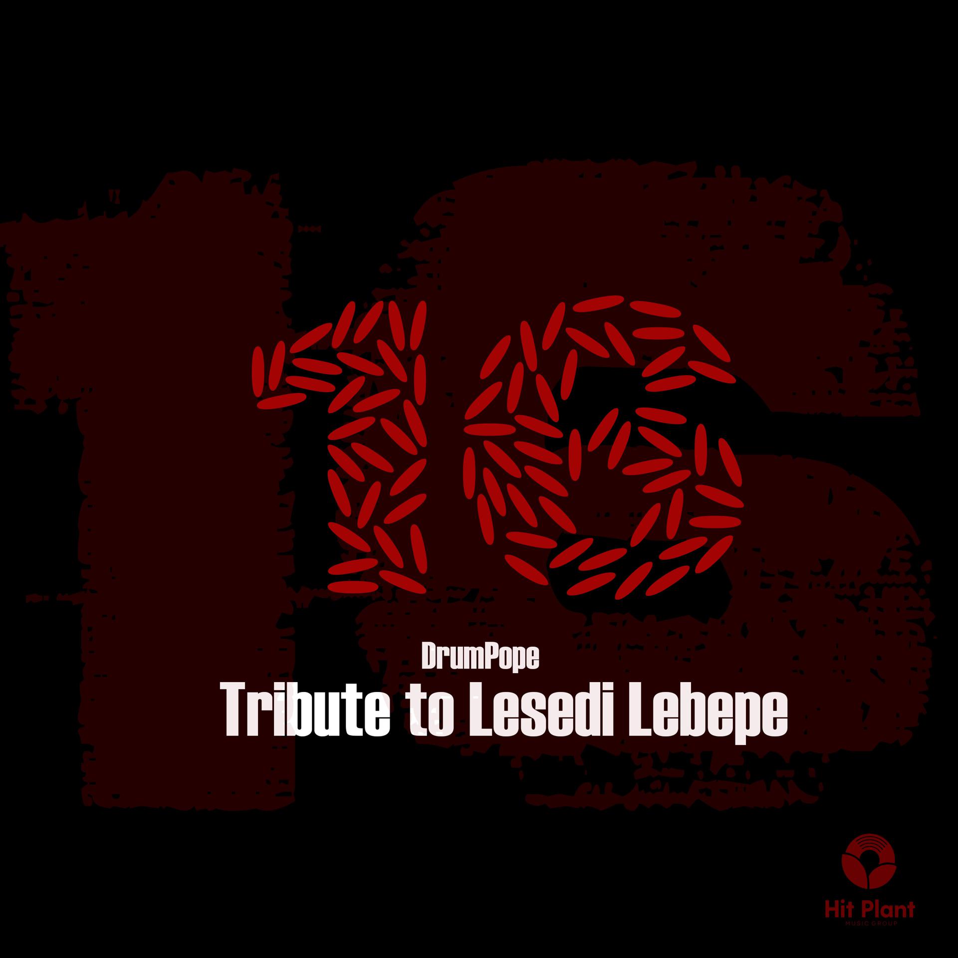 Постер альбома 16. Tribute to Lesedi Lebepe