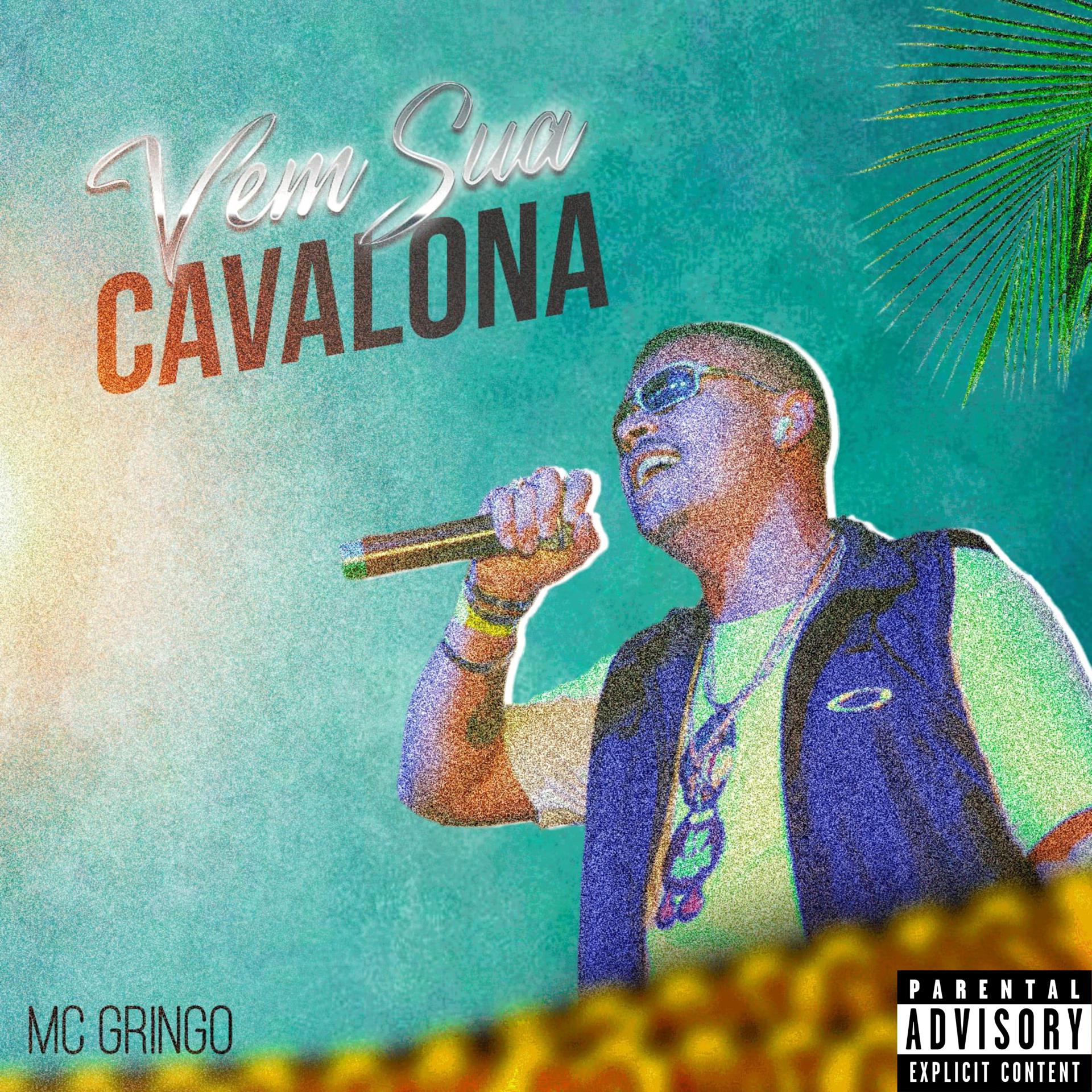 Постер альбома Vem Sua Cavalona