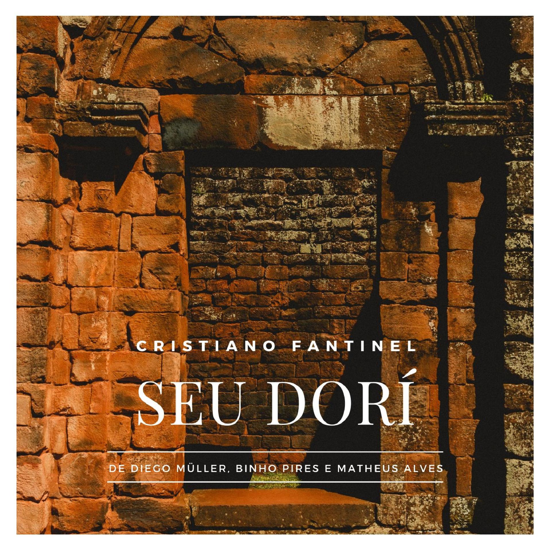 Постер альбома Seu Dorí