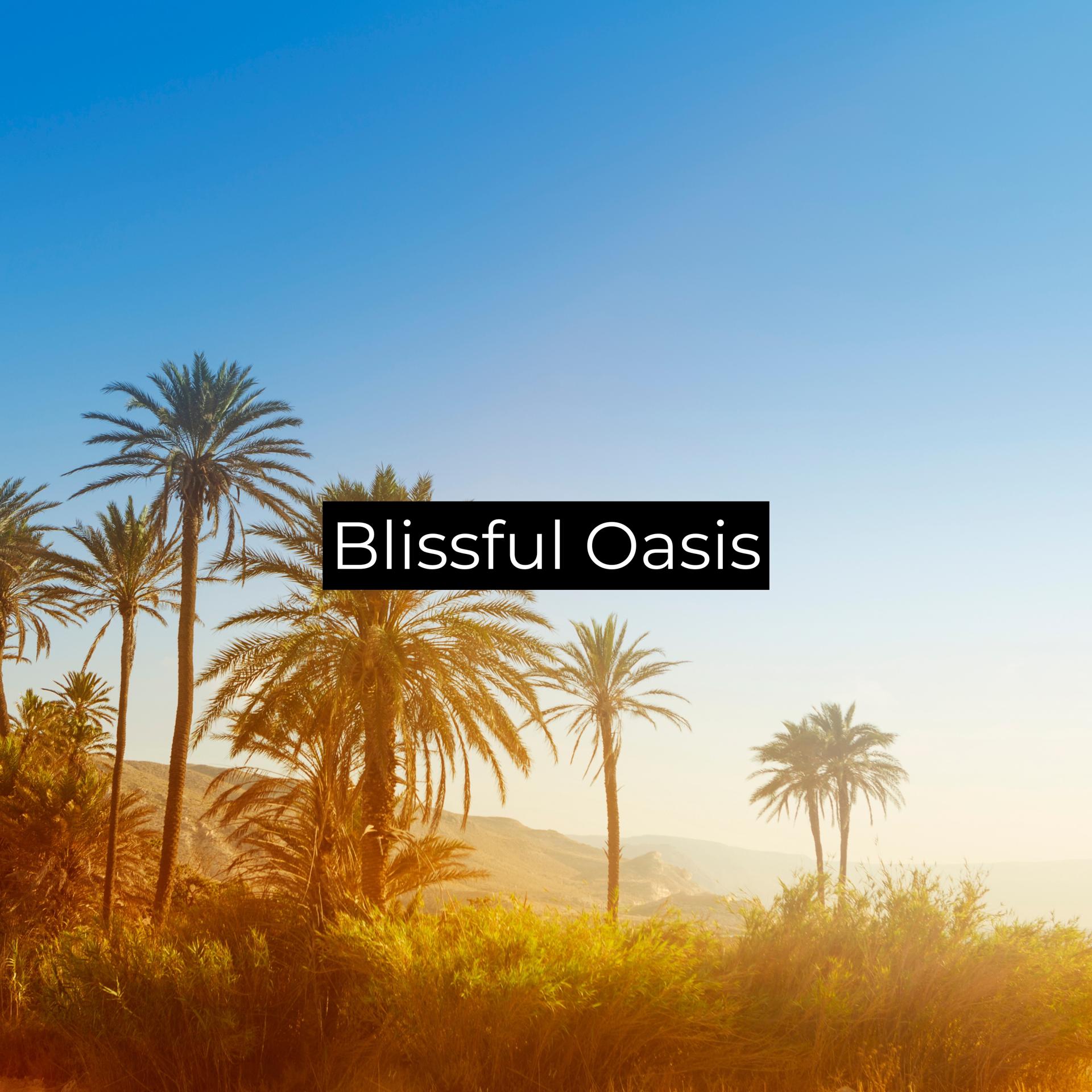 Постер альбома Blissful Oasis