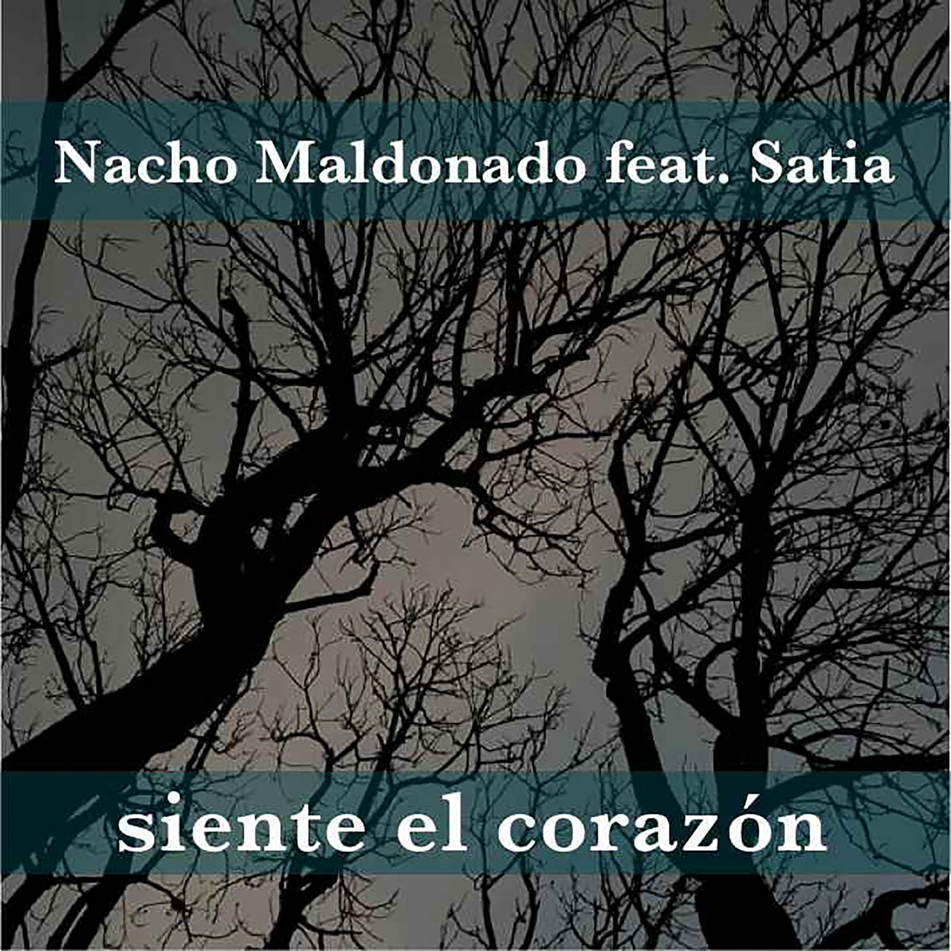 Постер альбома Siente el Corazón