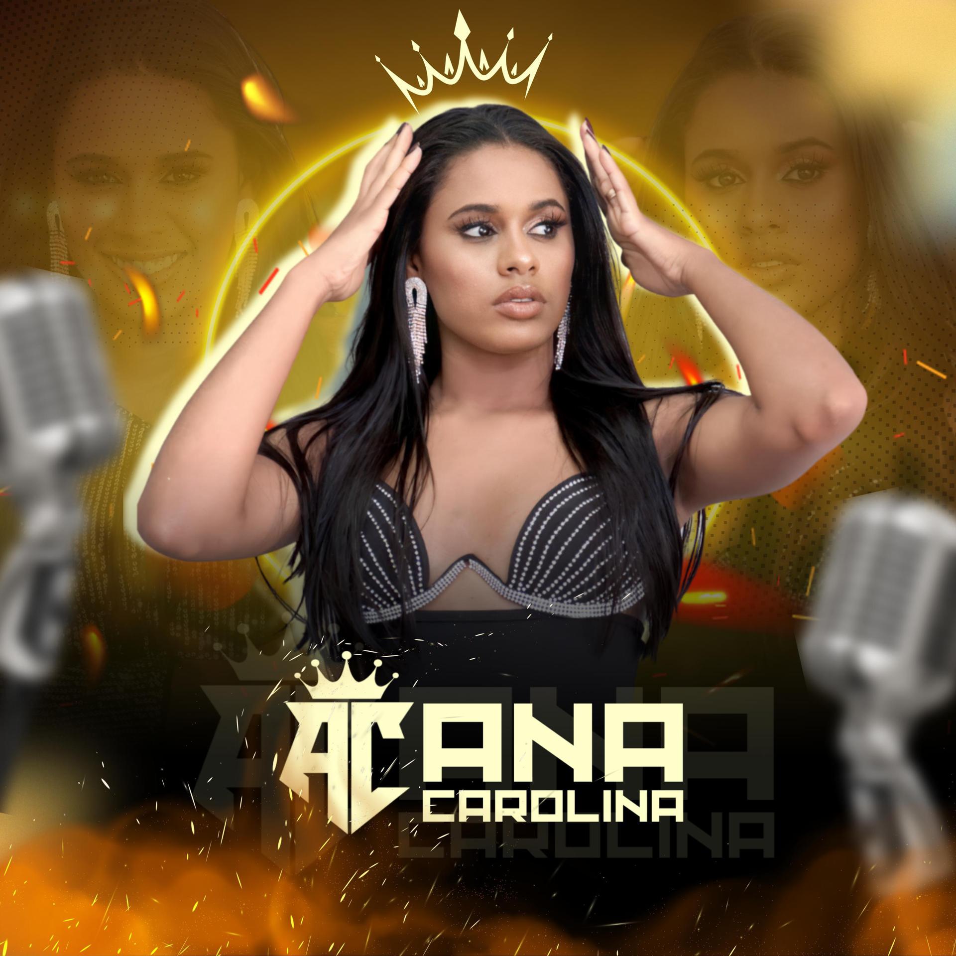 Постер альбома Ana Carolina