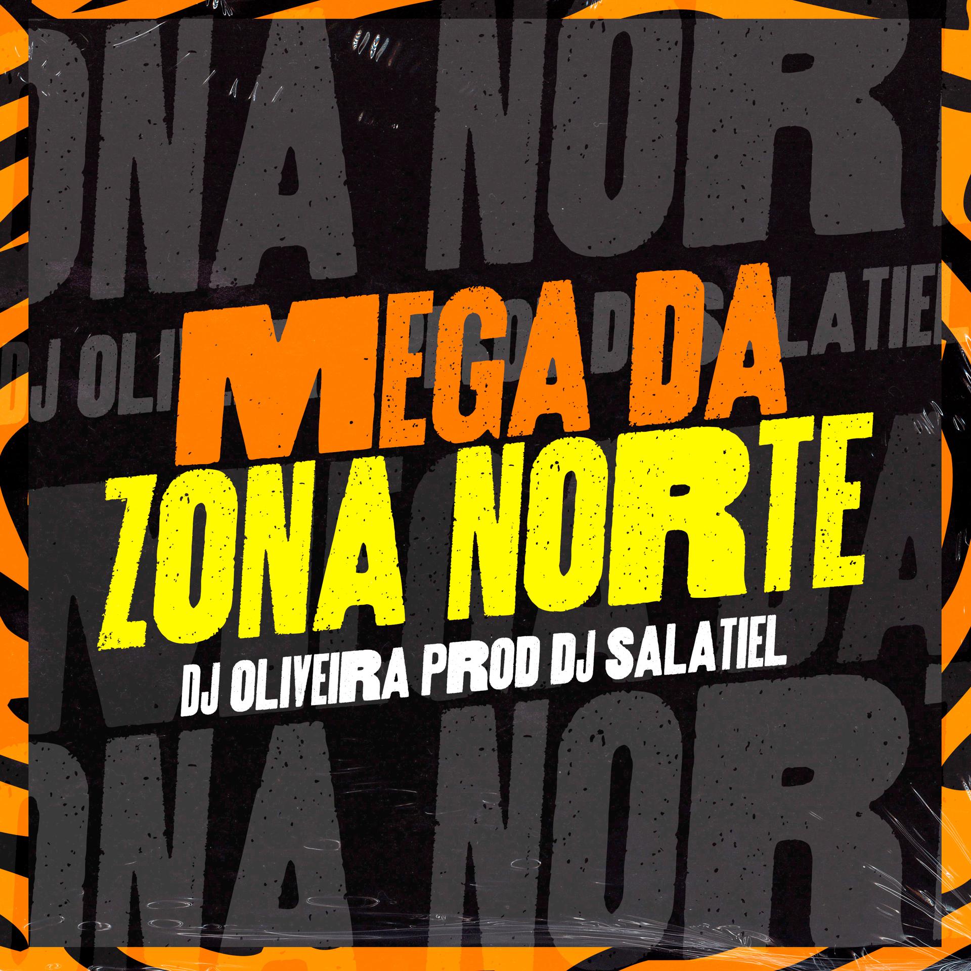 Постер альбома Mega da Zona Norte