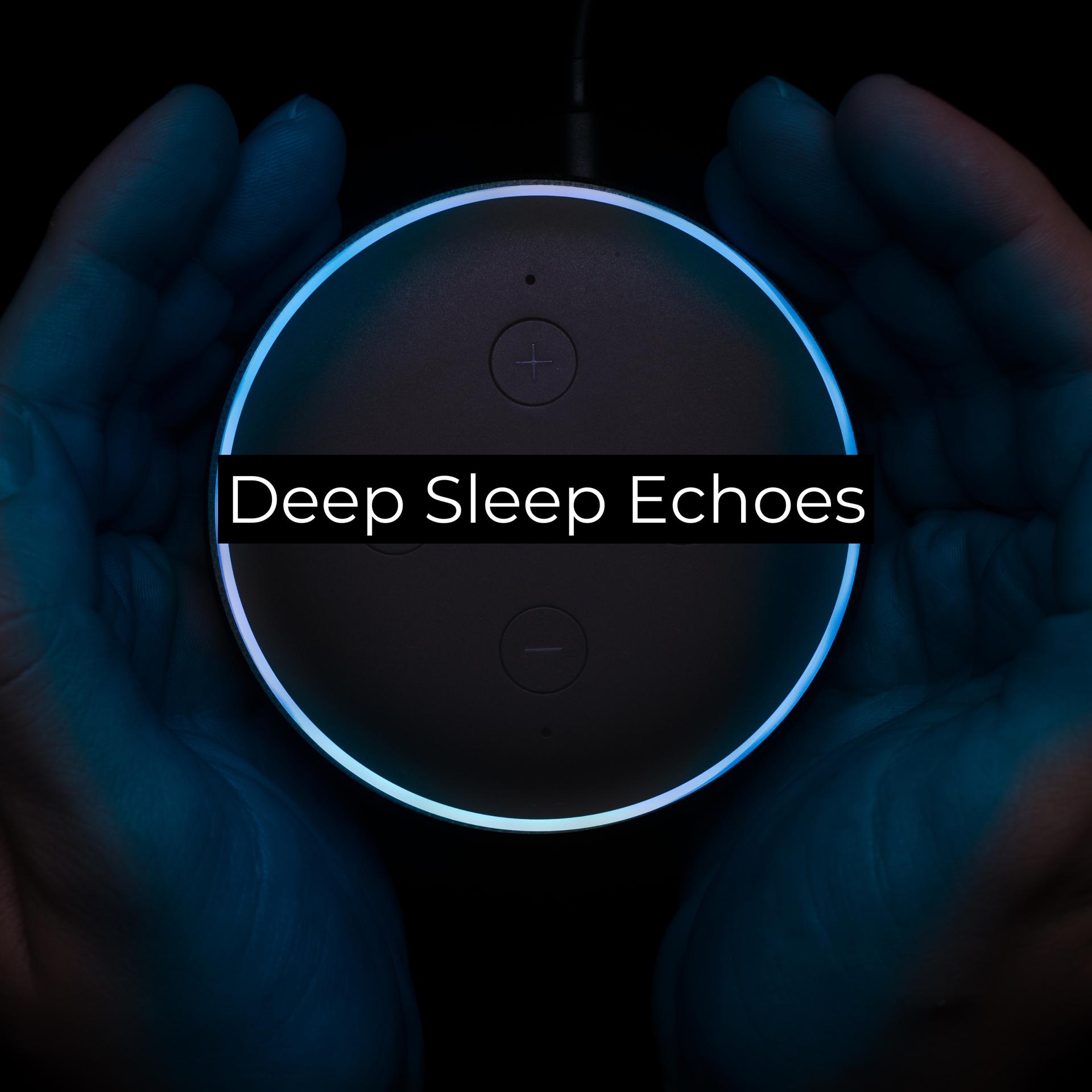 Постер альбома Deep Sleep Echoes