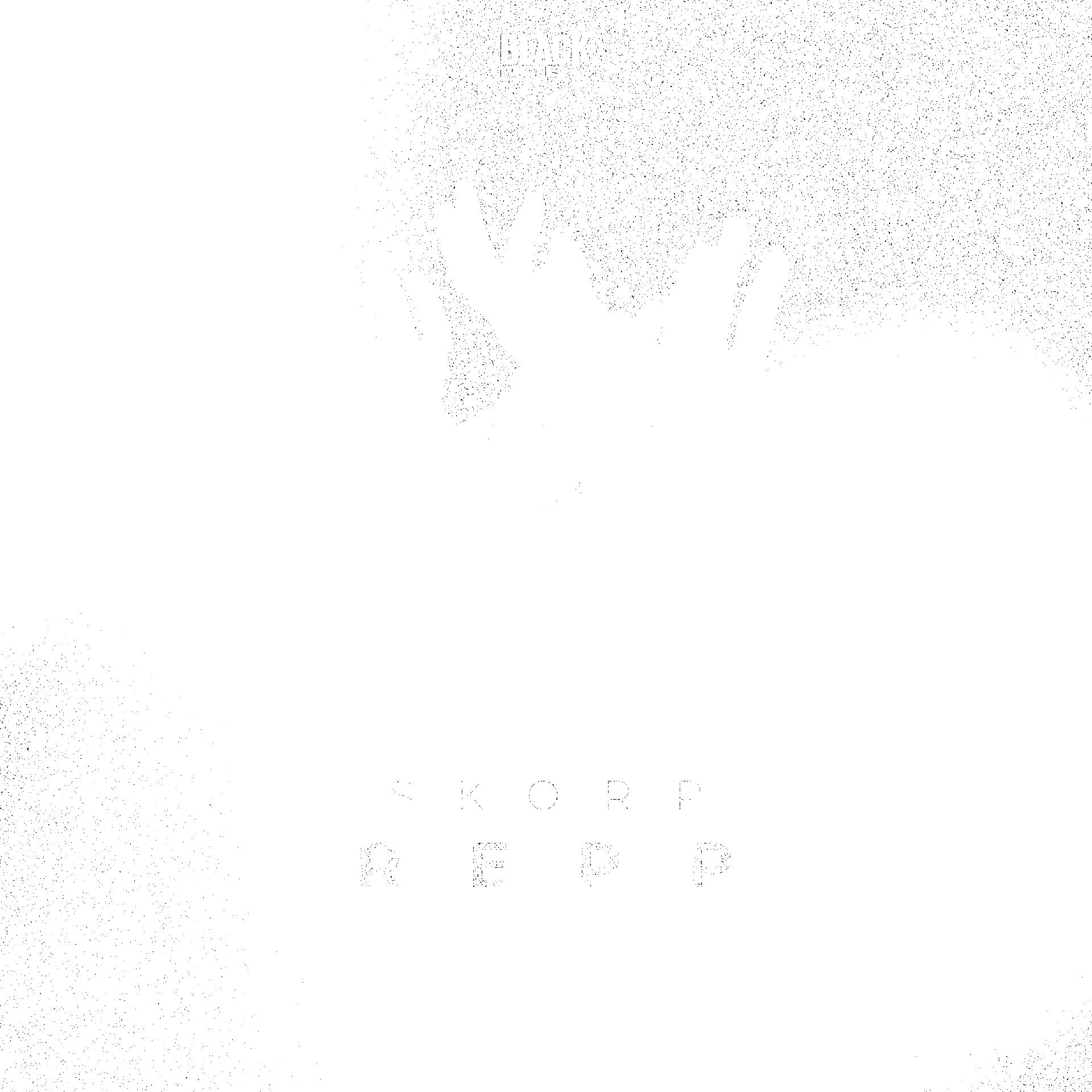 Постер альбома REPP
