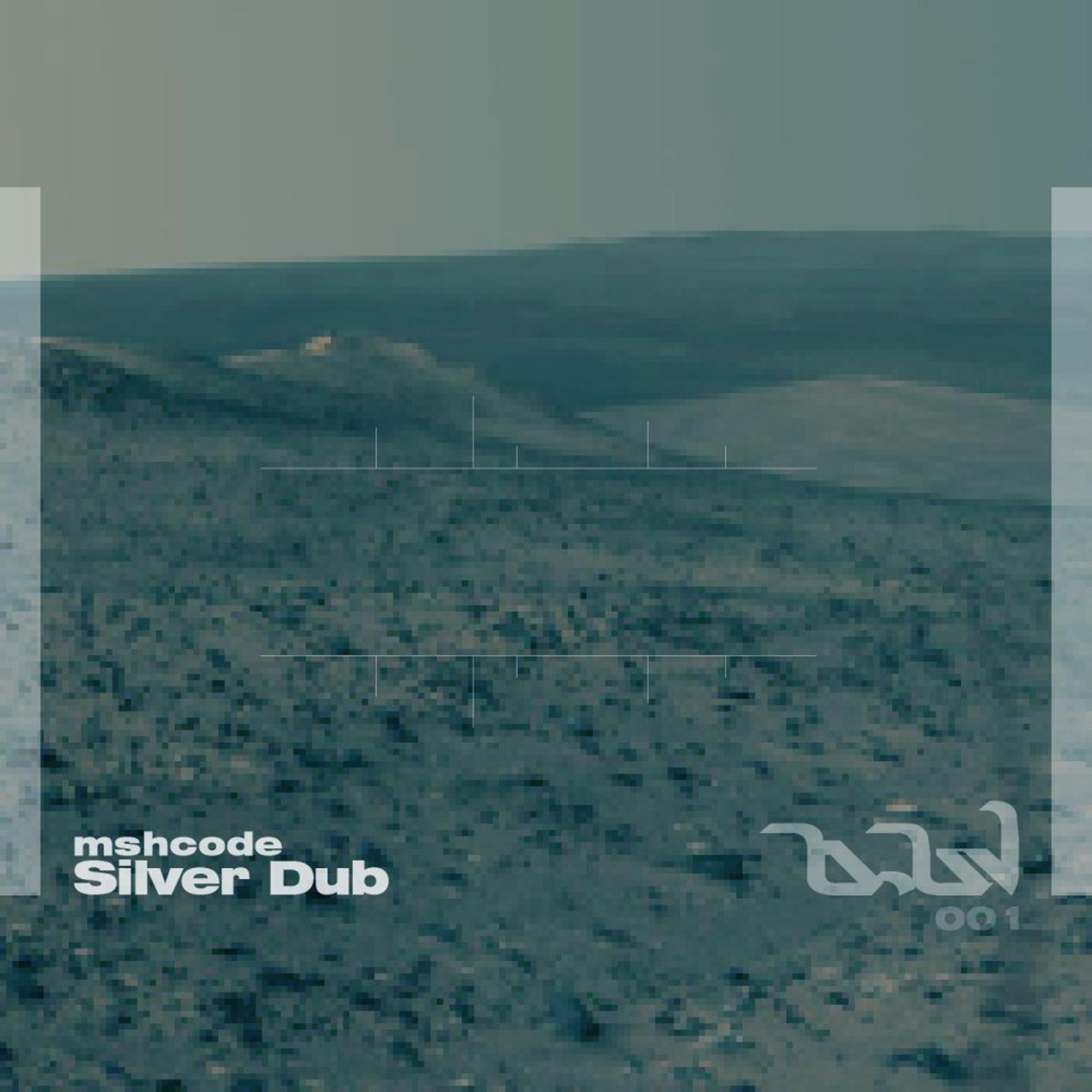 Постер альбома Silver Dub