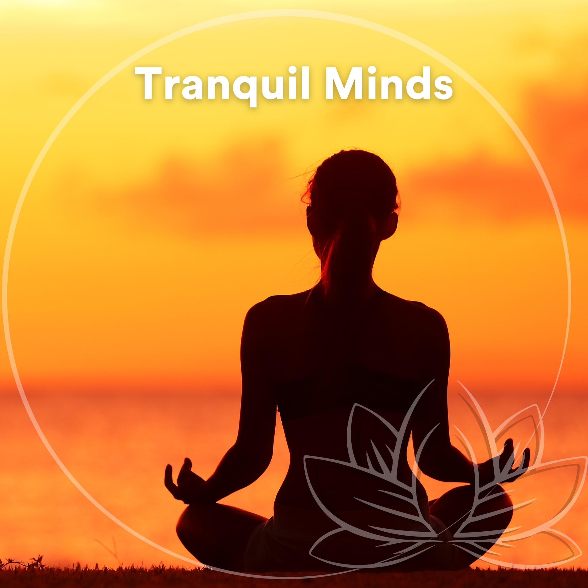 Постер альбома Tranquil Minds