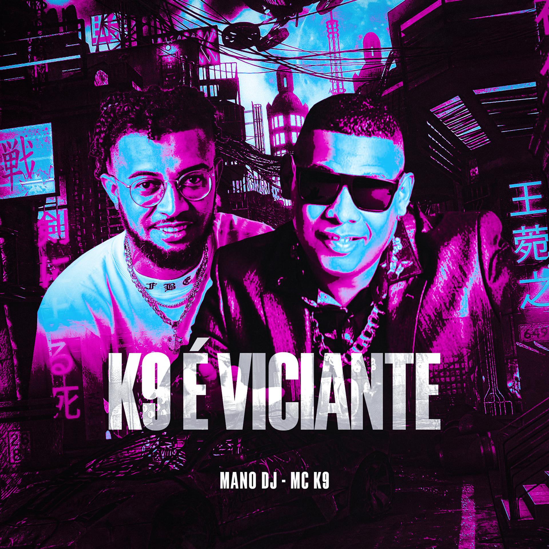 Постер альбома K9 É Viciante