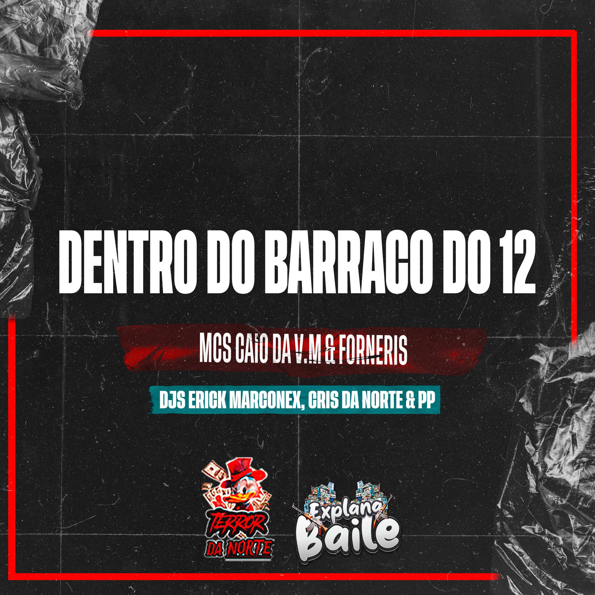 Постер альбома Dentro do Barraco do 12