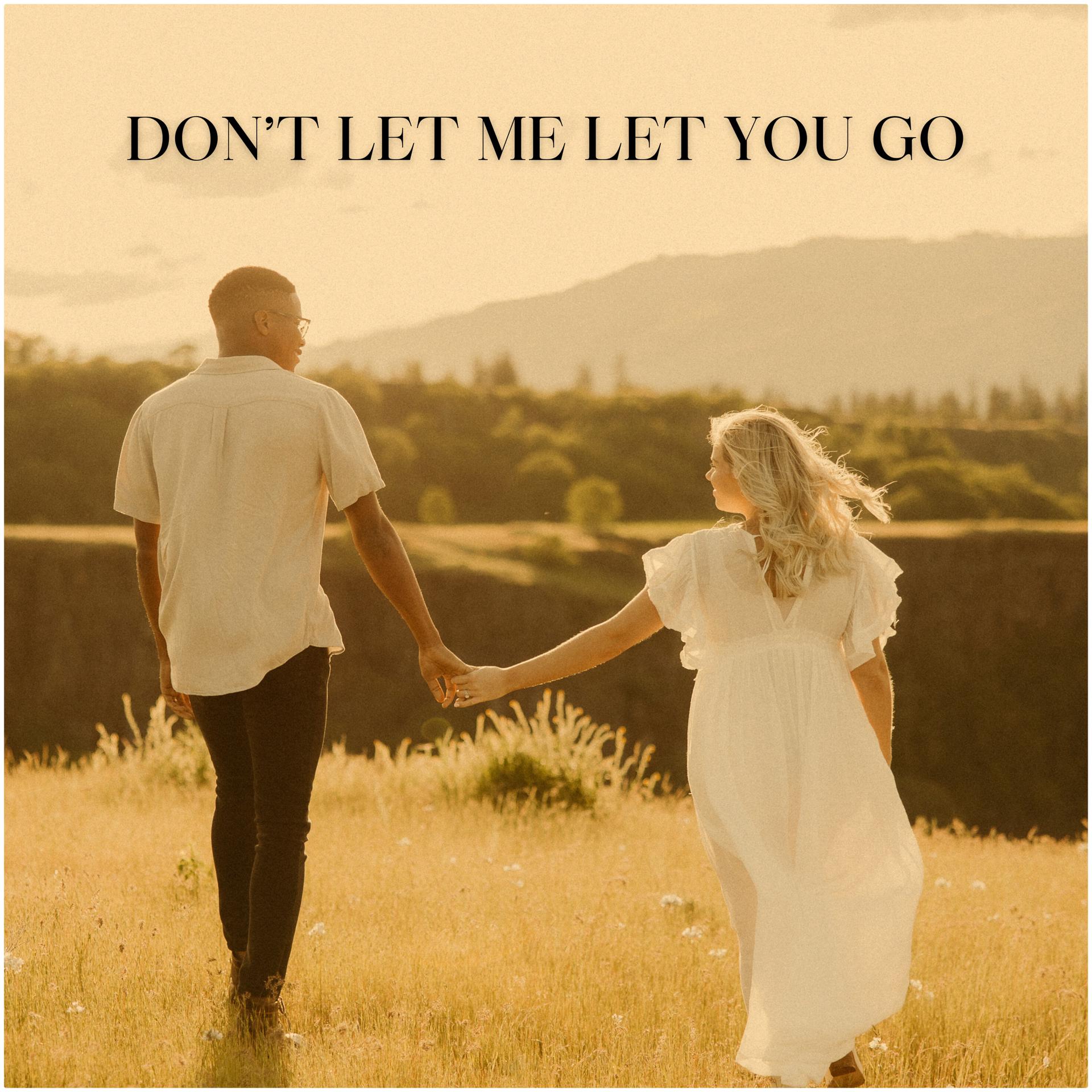 Постер альбома Don't Let Me Let You Go