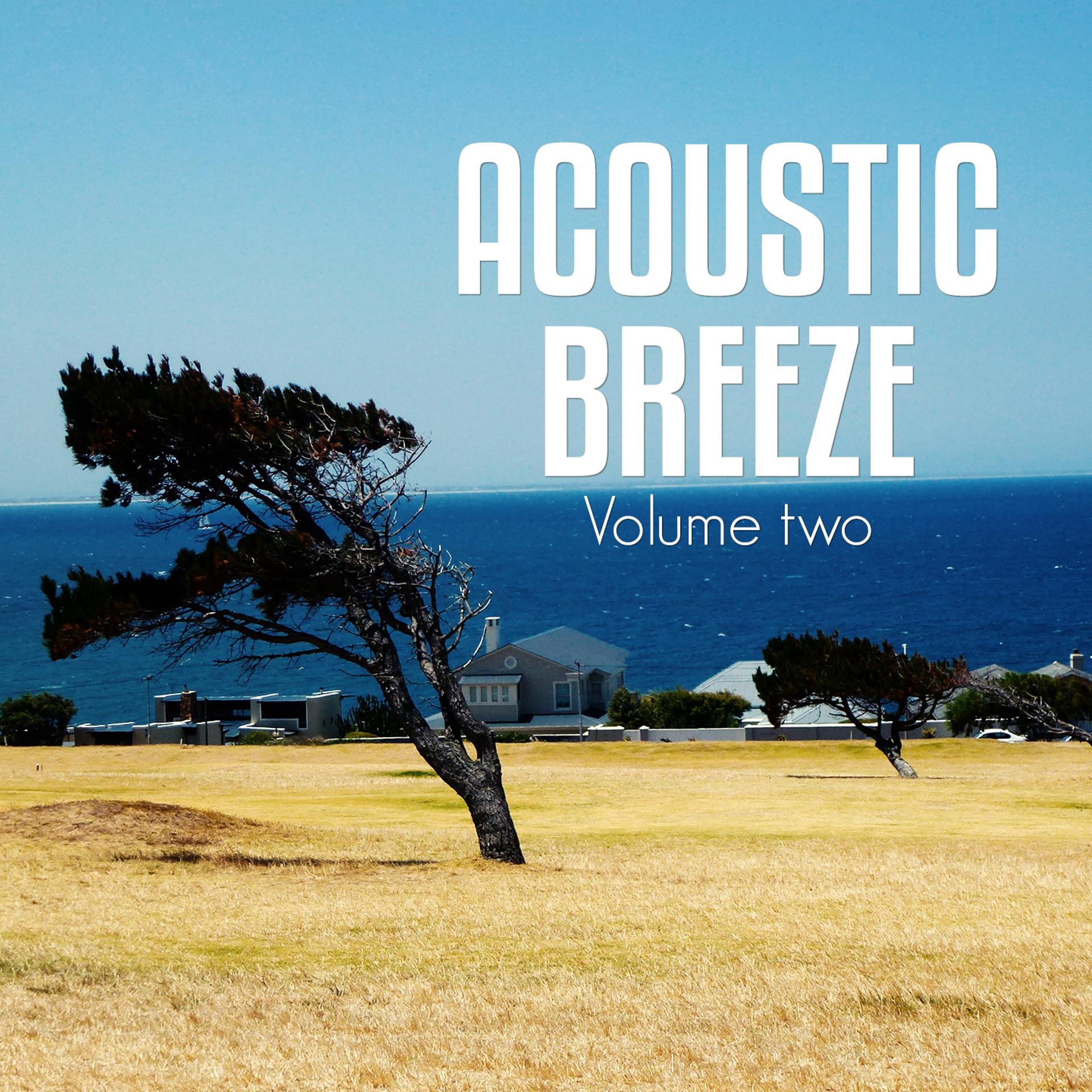Постер альбома Acoustic Breeze, Vol. 2