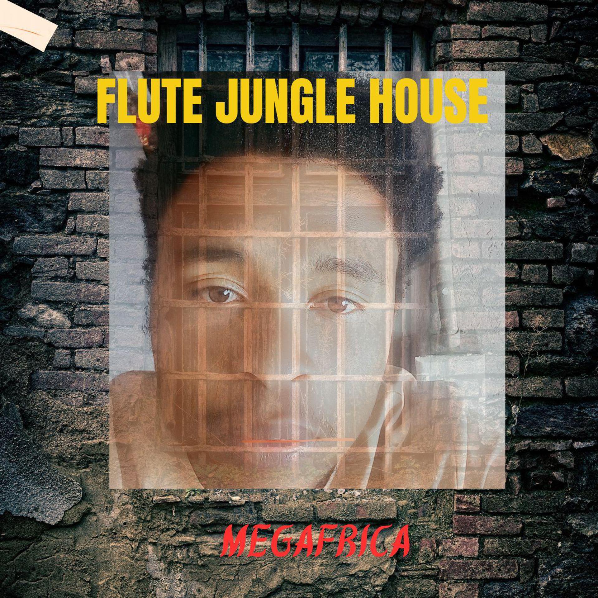 Постер альбома Flute Jungle House