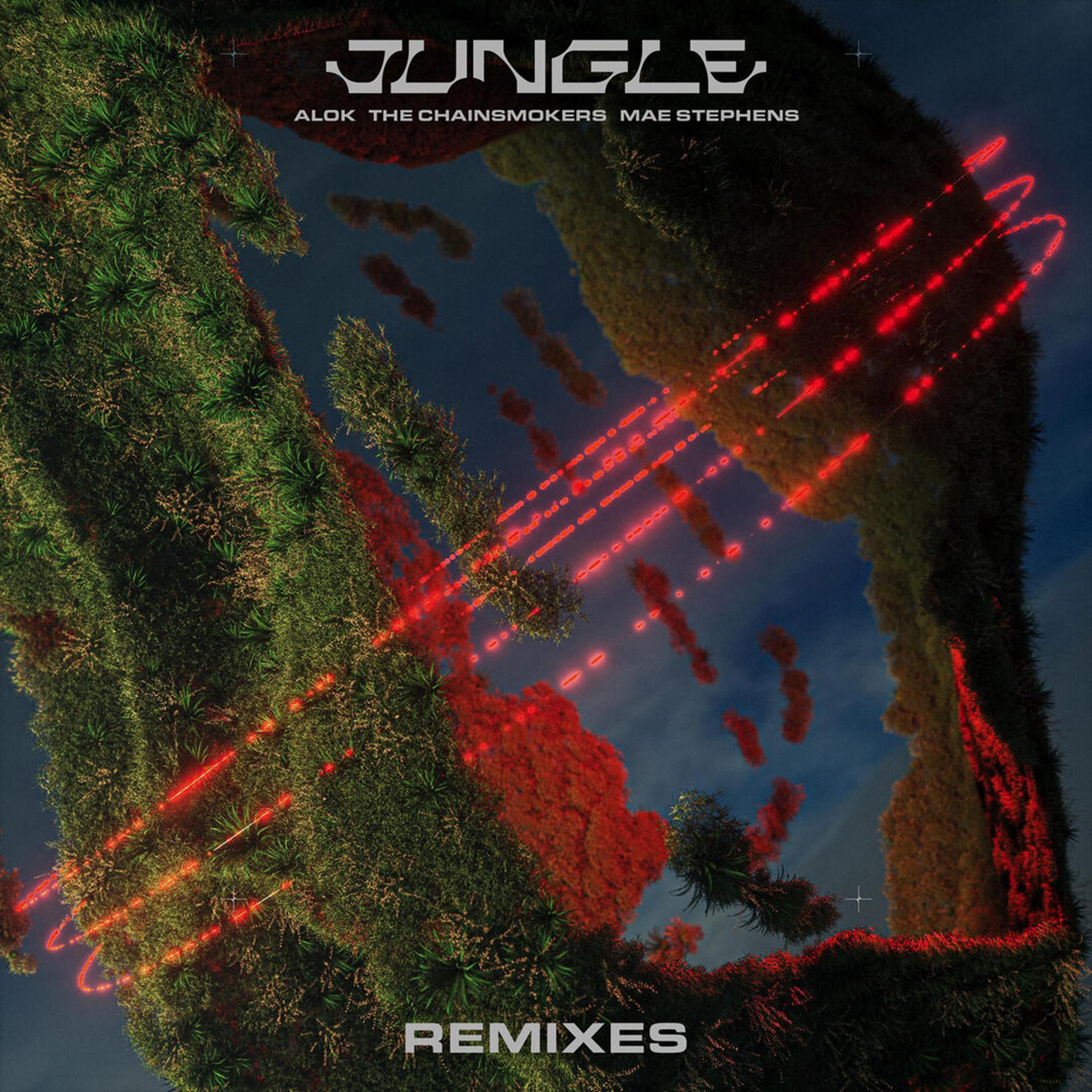 Постер альбома Jungle (Remixes)
