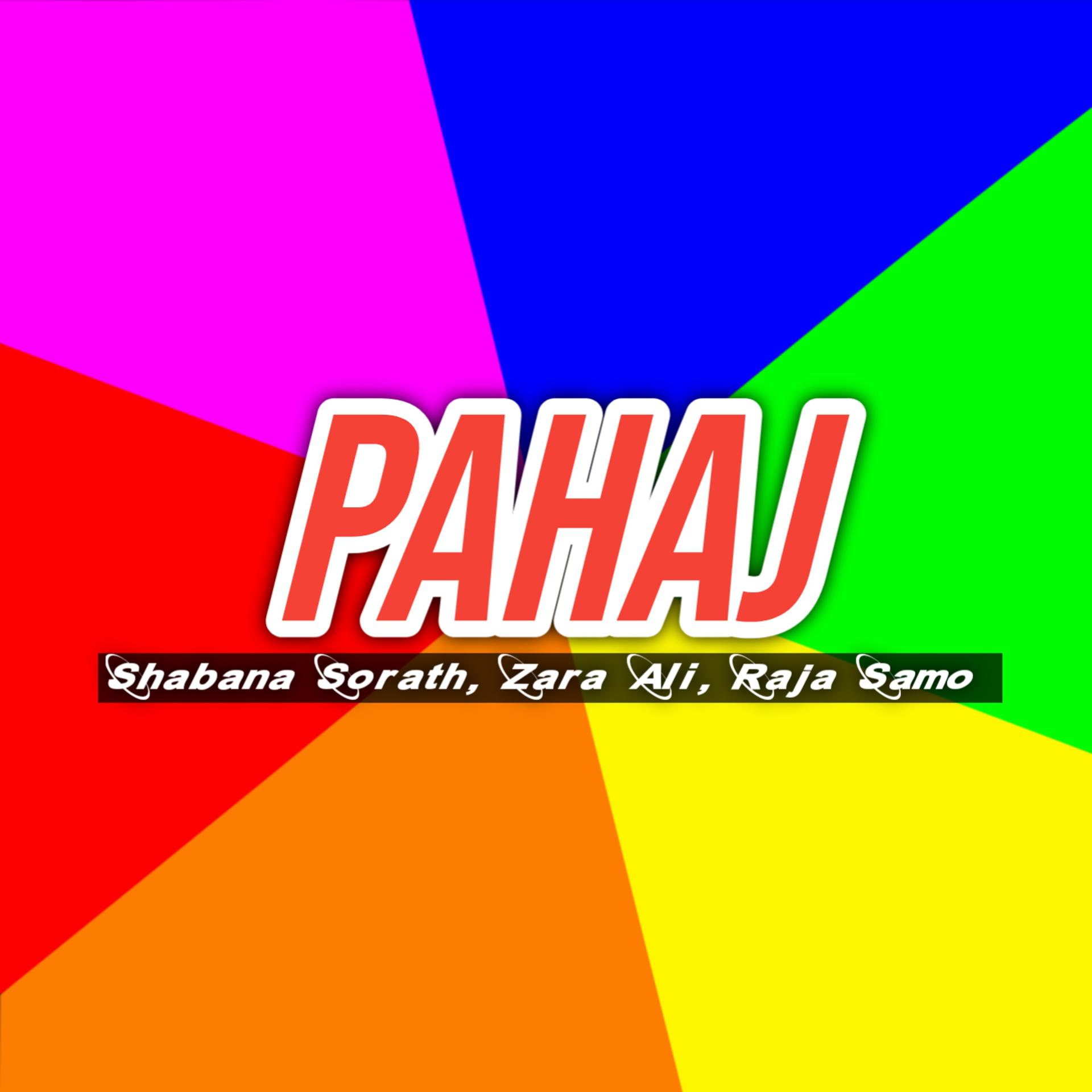 Постер альбома Pahaj