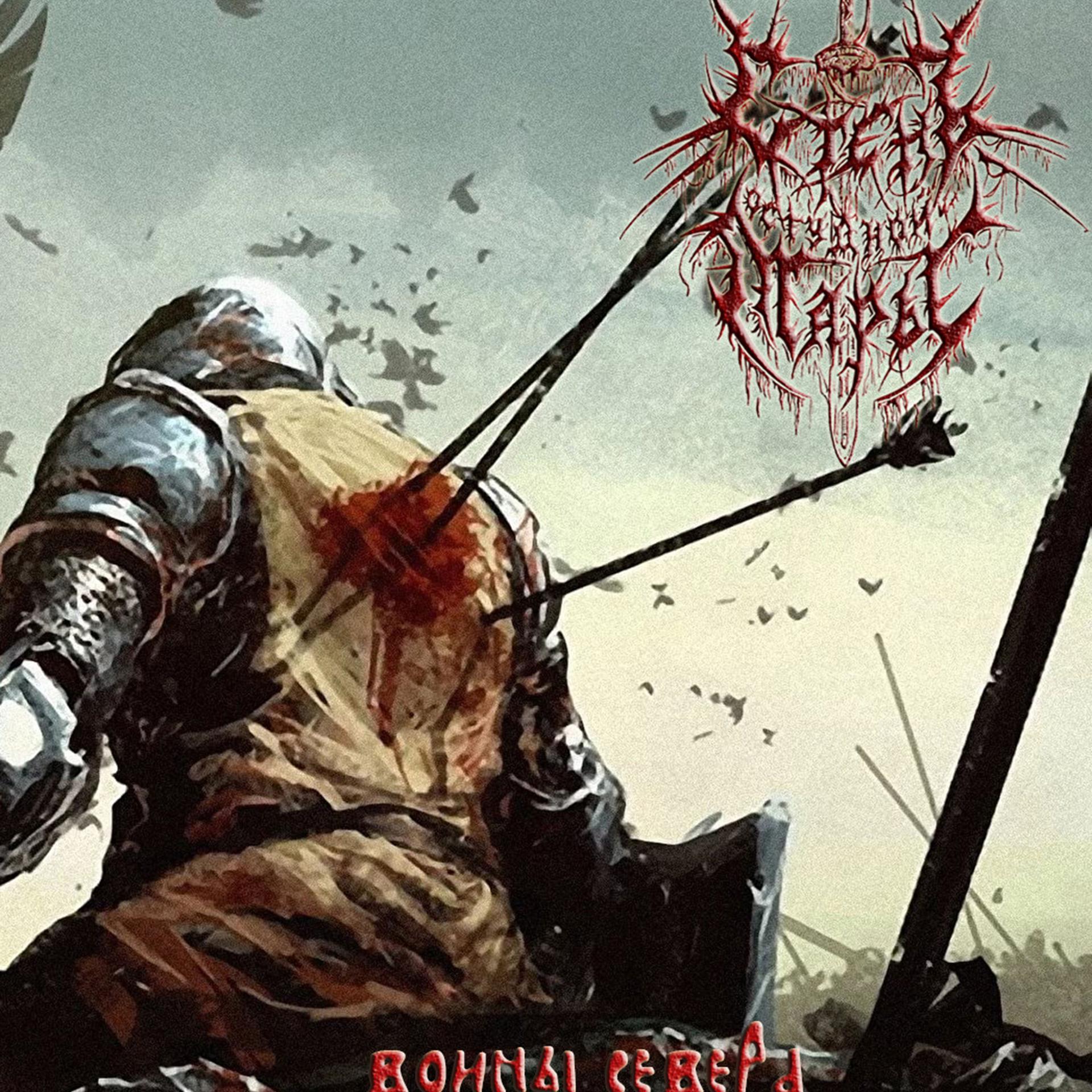 Постер альбома Воины Севера
